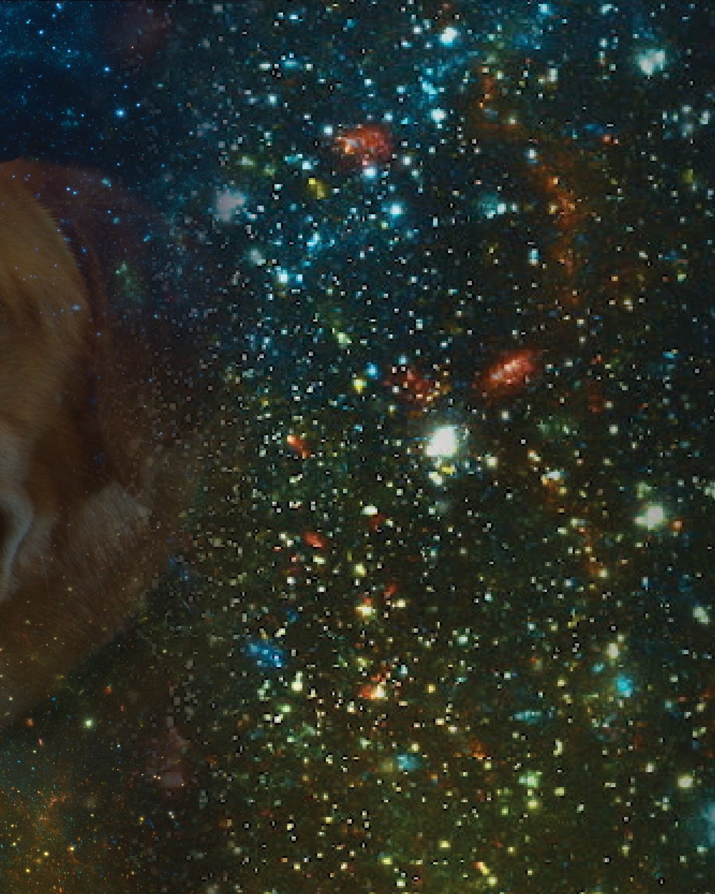 Kooper&rsquo;s Day Home (2024) | Stills

The best boy of all time.

&mdash; Kely

🫧🐟🫧

#FRF #Koopersdayhome