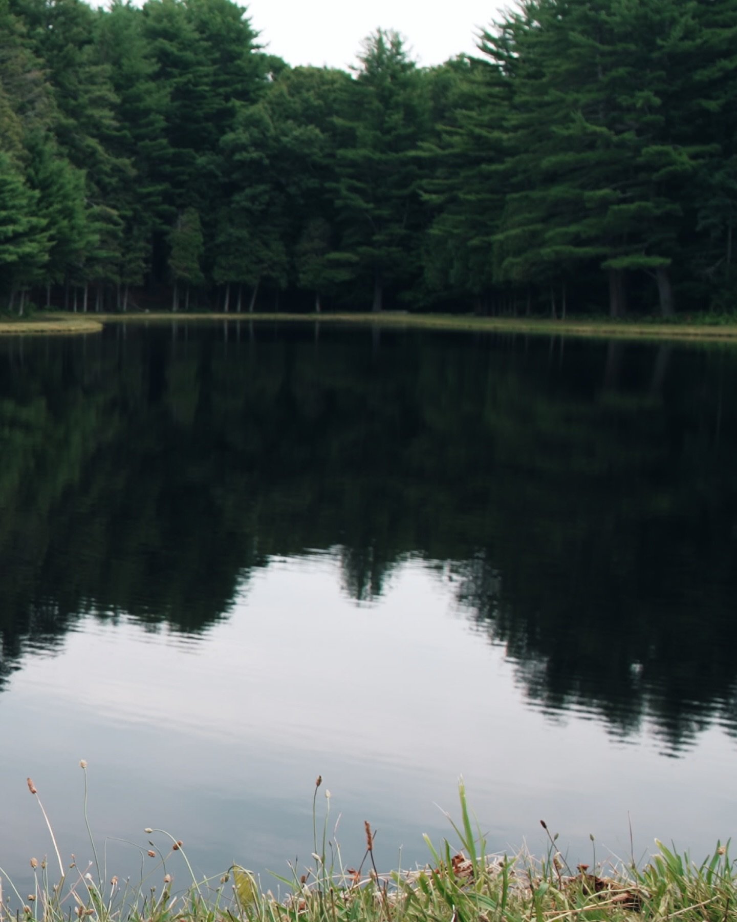 Just an Idea (2026) | Stills

🫧🐟🫧

#FRF #justanidea💭