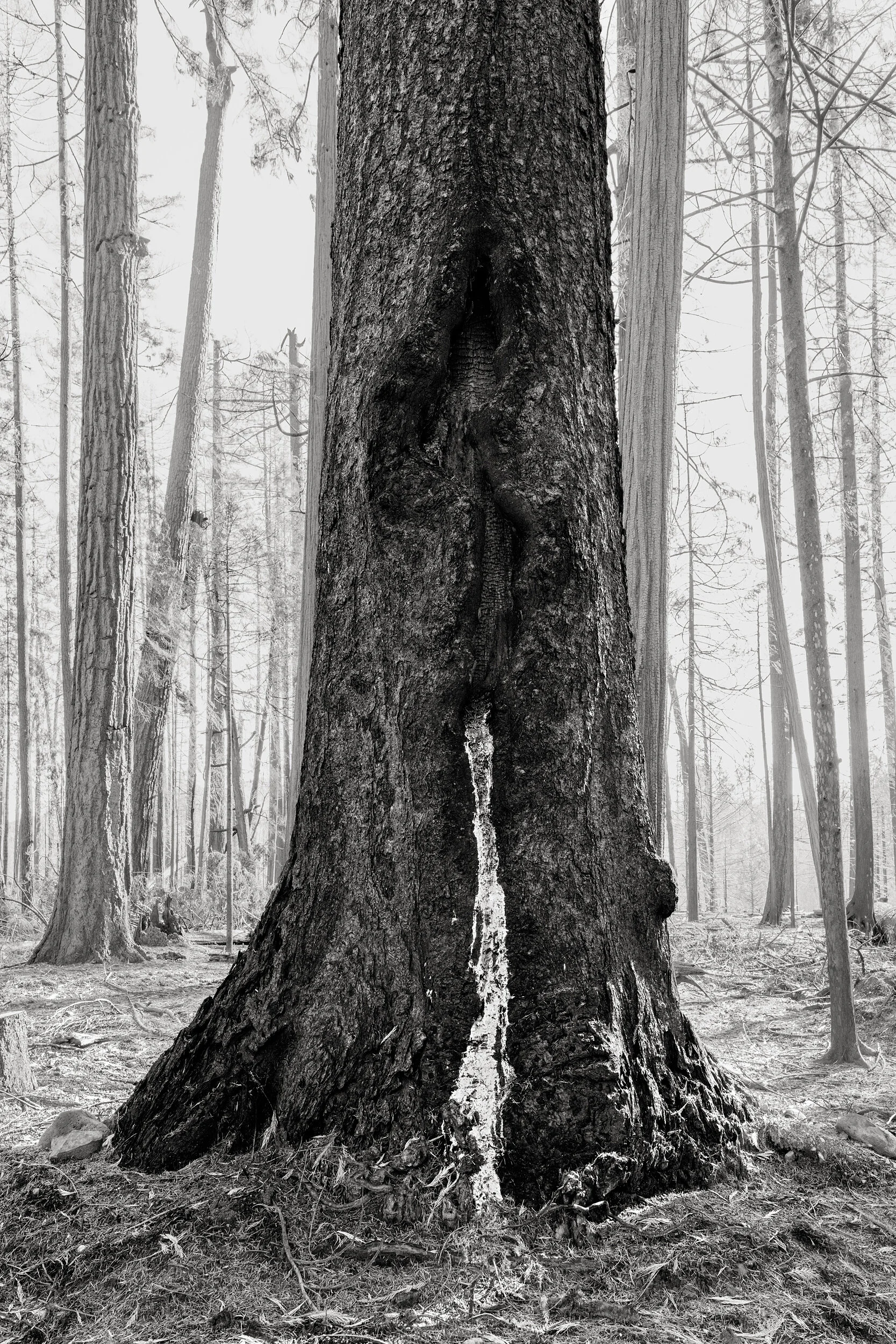 Standing,Still.  #17.jpg