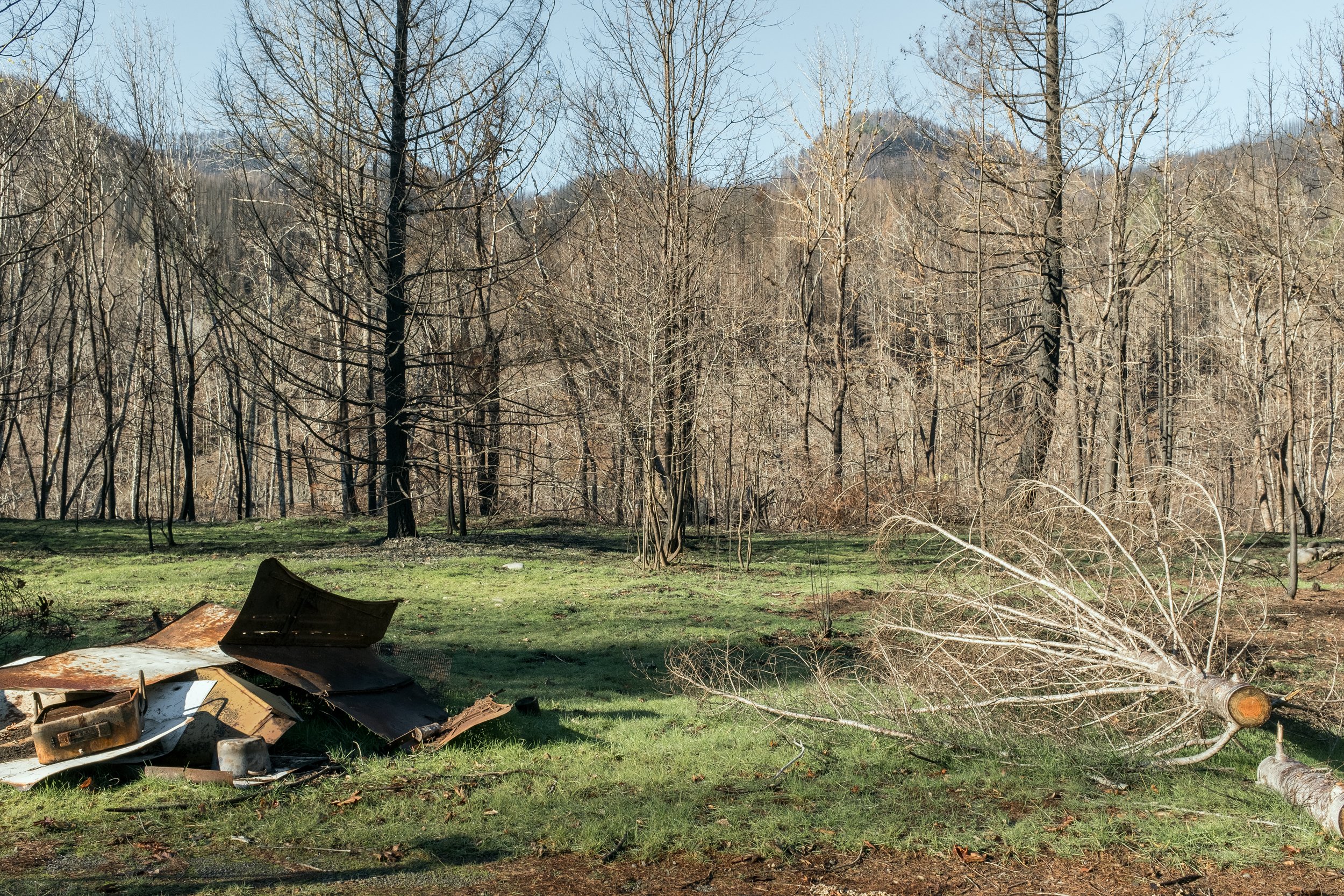 DPB_HFF_LoggingCampDebris_107.jpg