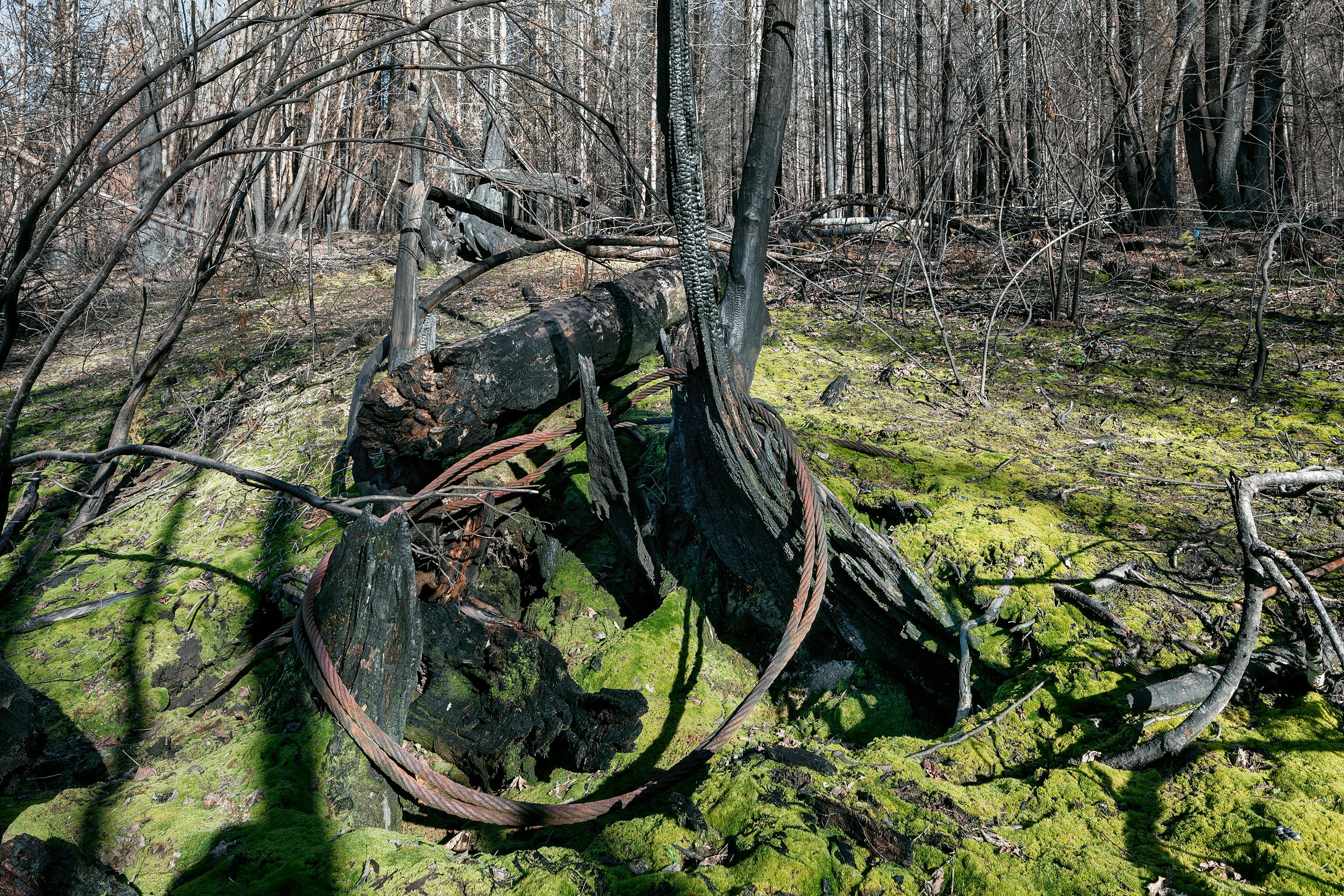 DPB_HFF_1274.jpg