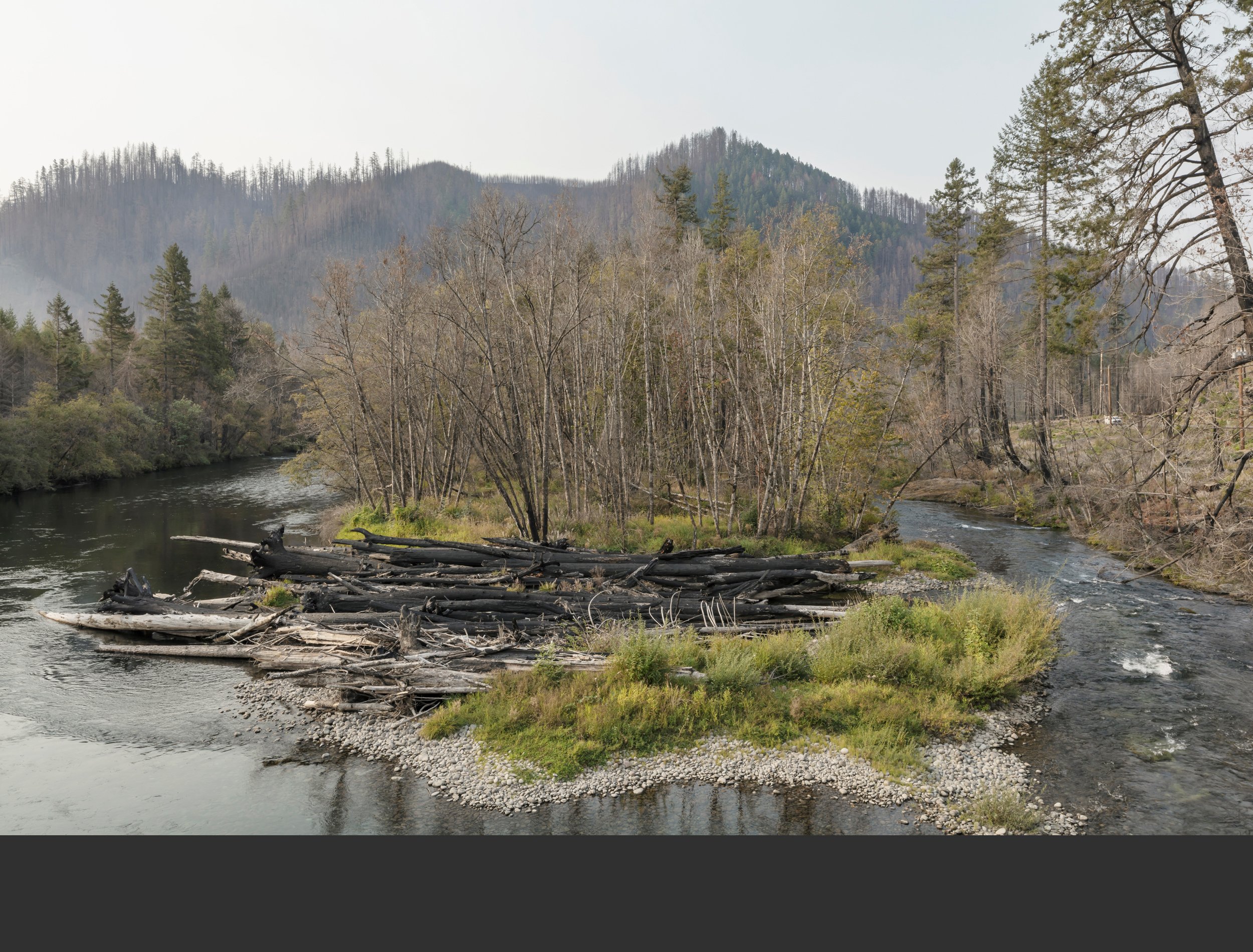 09/21 River flow has dropped. Lots of summer greenery on the forst floor, riverbanks, and riparian alders. Orange foliage signals effects of June heat dome. Air is smoky from nearby fires.