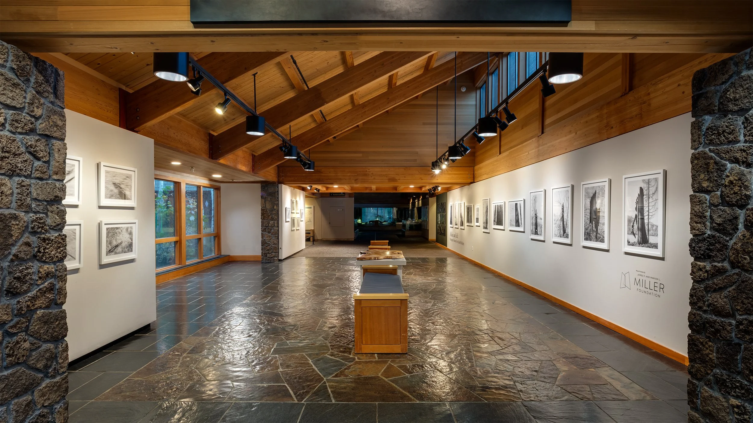 C012047_DPB_HollowStill_045LREnf copy.jpg