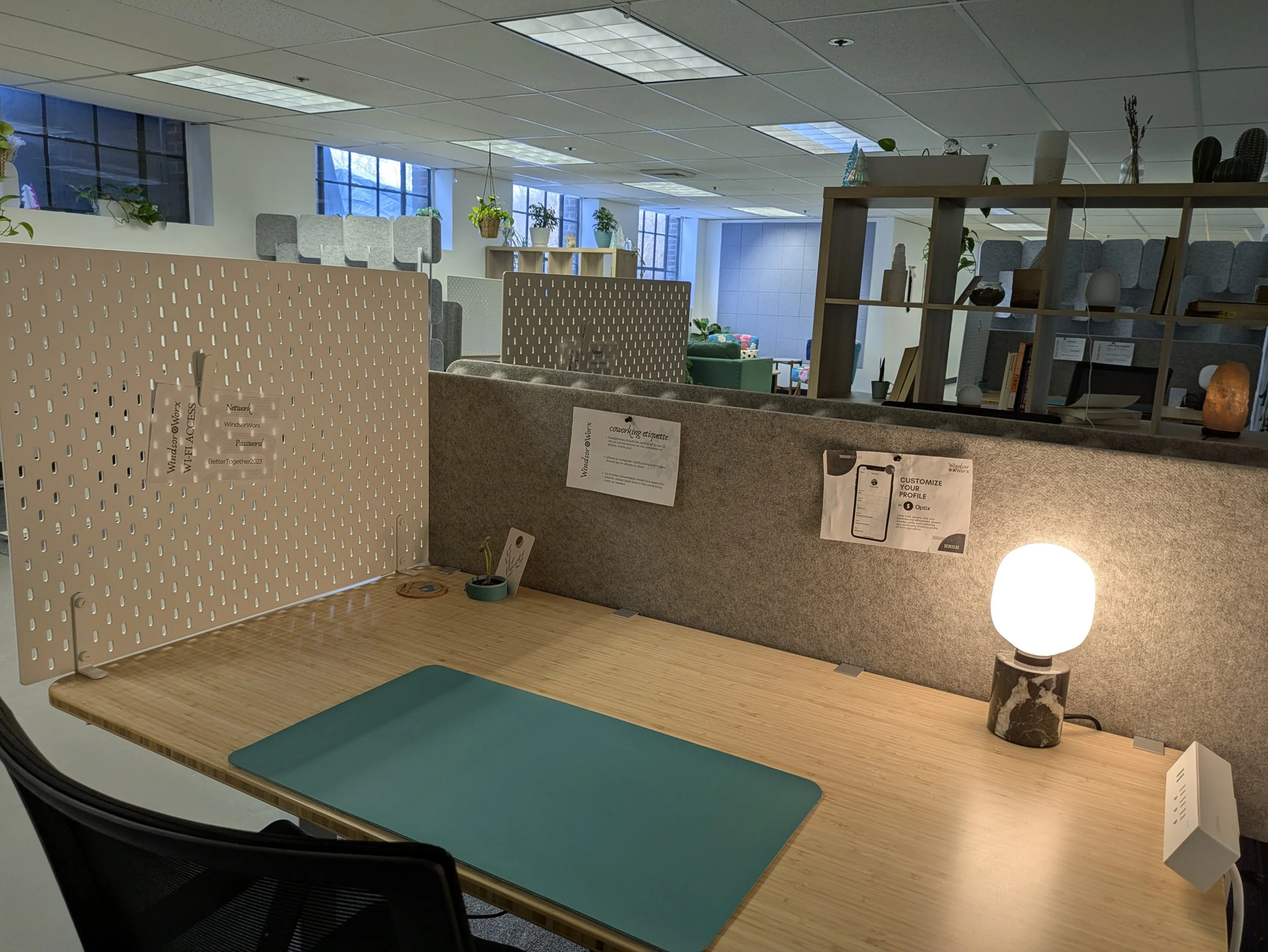 PXL_20251205_195513759.RAW-01.COVER.jpg