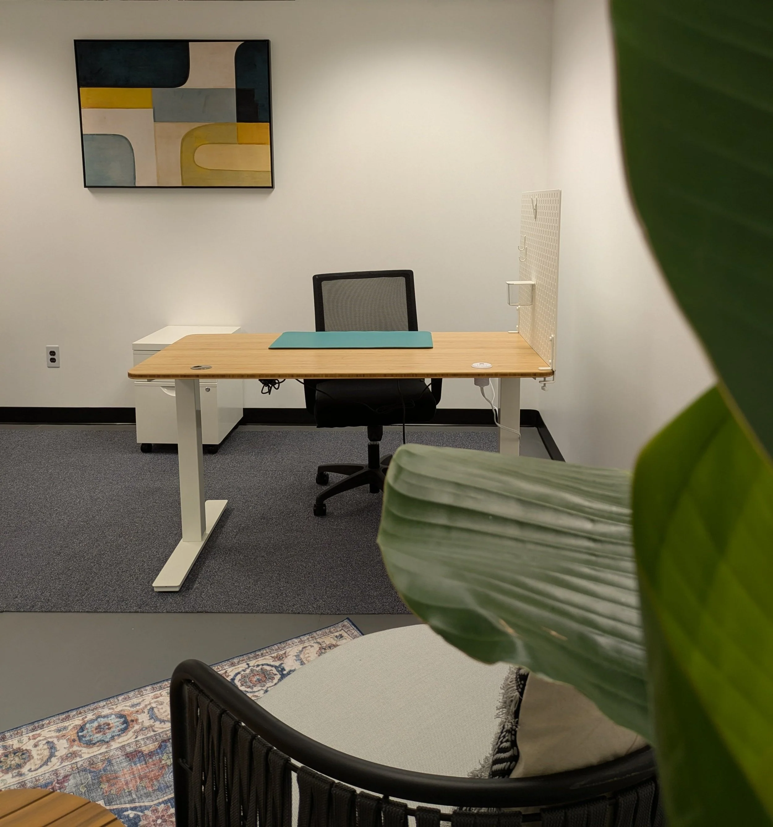 Office space with desk, ergonomic chair, abstract artwork on white wall, plant leaves in foreground, area rug on gray carpet, white storage cabinet, and a divider on the desk. Windsor Worx Coworking