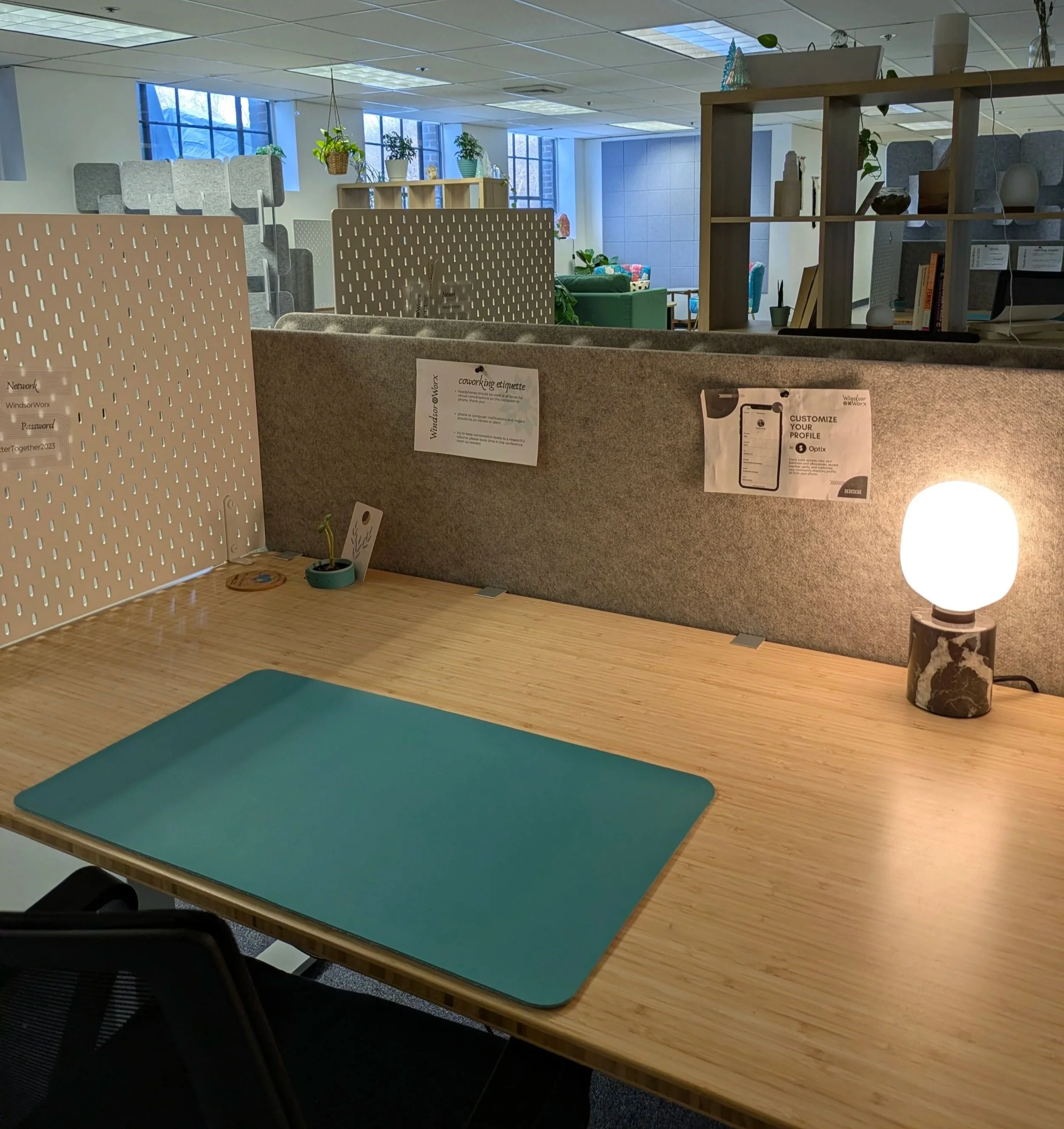 Office workspace with a wooden table, a teal yoga mat, a black chair, a beige divider with holes, potted plants, a white lamp, and a bookshelf with decorations and books. Large windows with snow outside illuminate the room. Windsor Worx Coworking