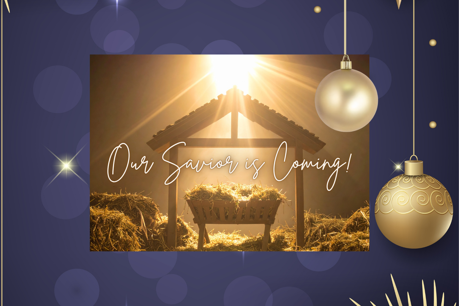 A Night of Joy and Light! Live Christmas Concert 