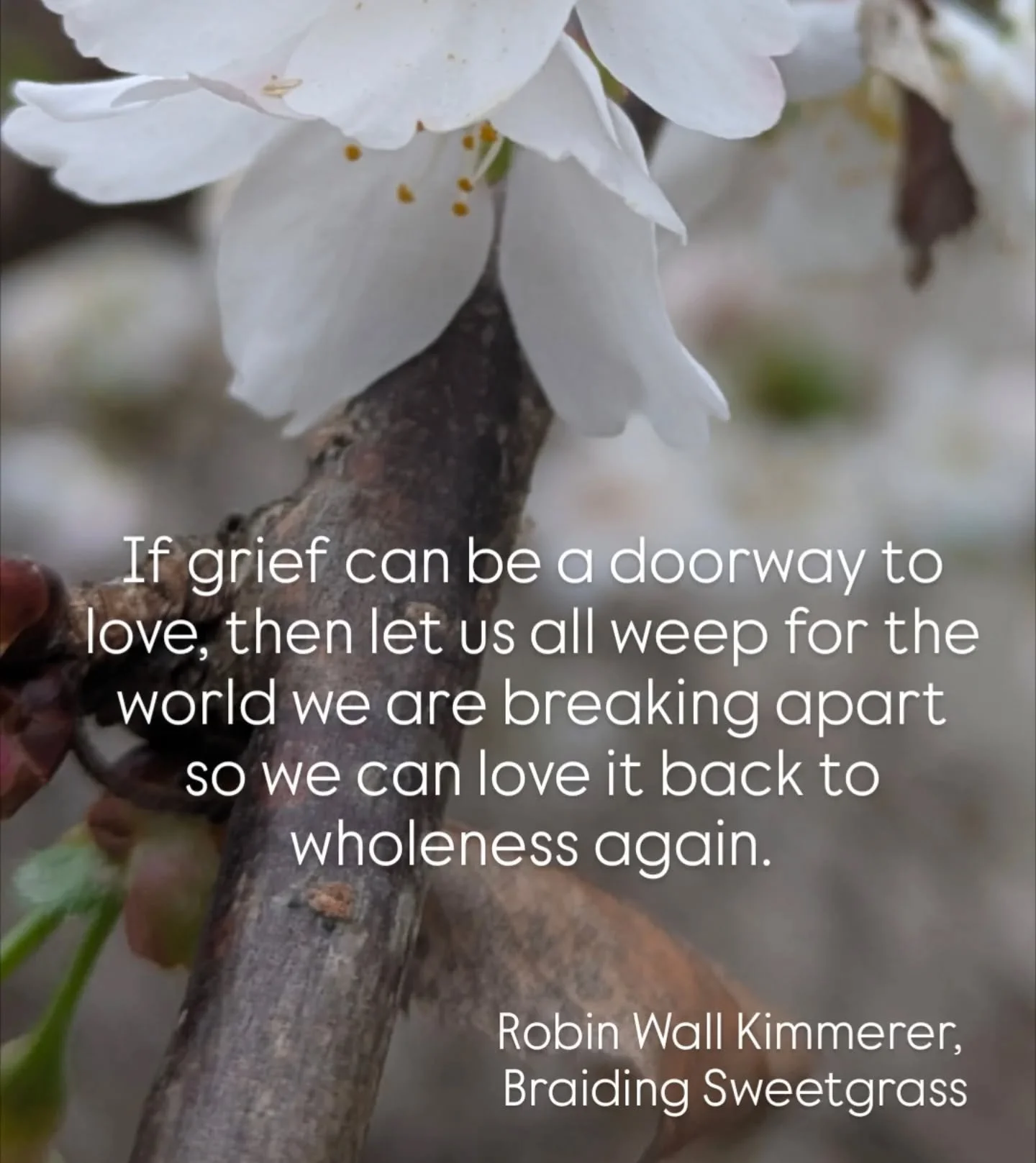 Weep! Weep!&rdquo; calls a toad from the water&rsquo;s edge. And I do. If grief can be a doorway to love, then let us all weep for the world we are breaking apart so we can love it back to wholeness again.

Robin Wall Kimmerer,&nbsp;Braiding Sweetgra