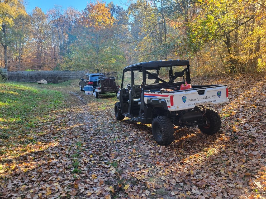 Mule loaned by WFD.jpeg