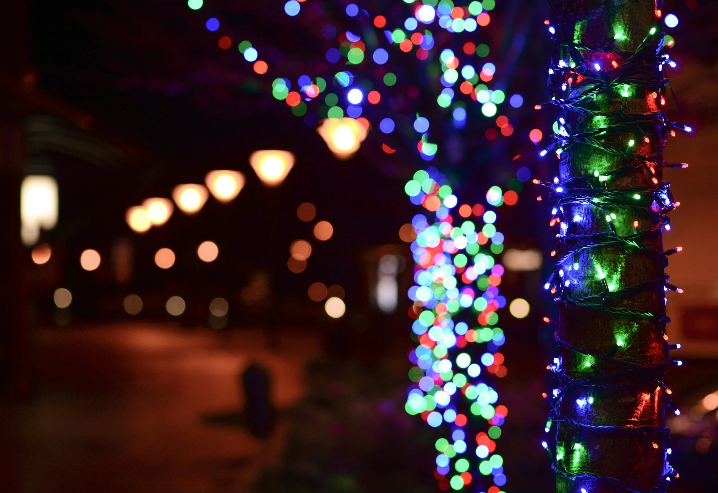 Lights in the Night