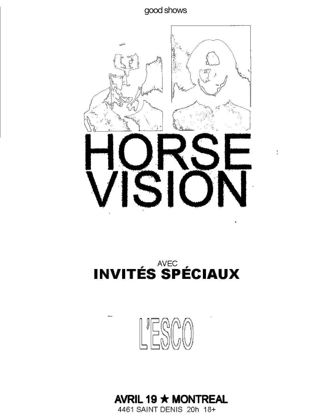 Horse Vision
