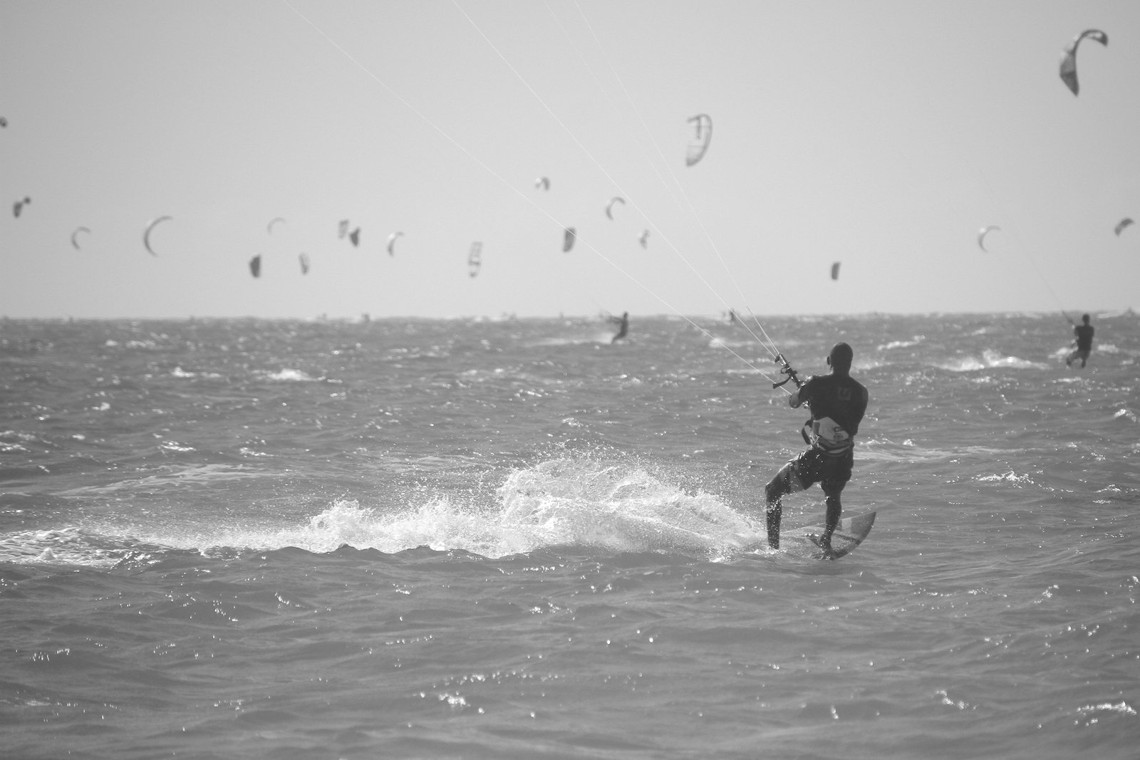 IMG_8597.jpg