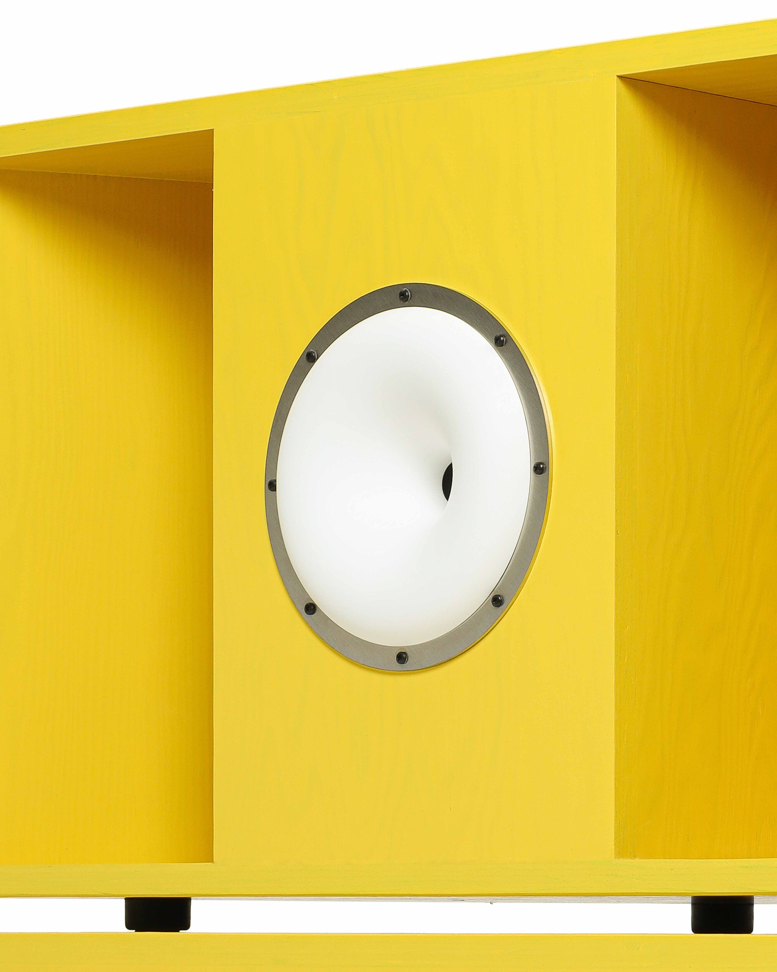 Yellow Close up 4_fixed.jpg