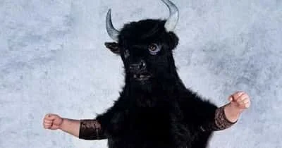 The Best and Worst Animal-Based Gimmicks in Pro-Wrestling