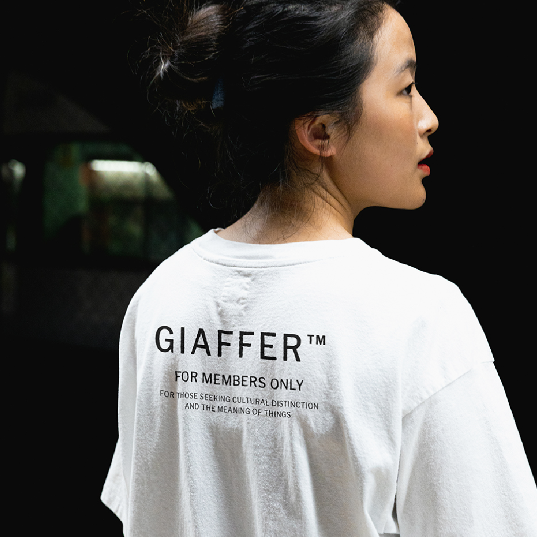 GFFRMesa de trabajo 1.png