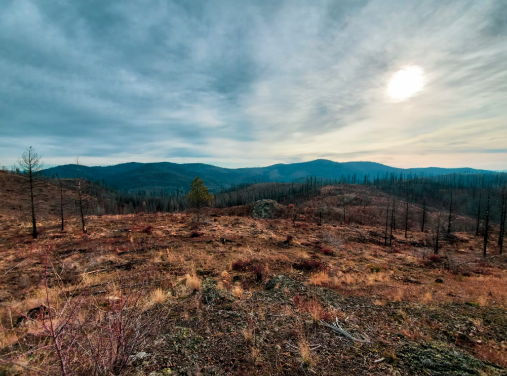 Screen Shot 2022-06-06 at 2.55.22 PM.png