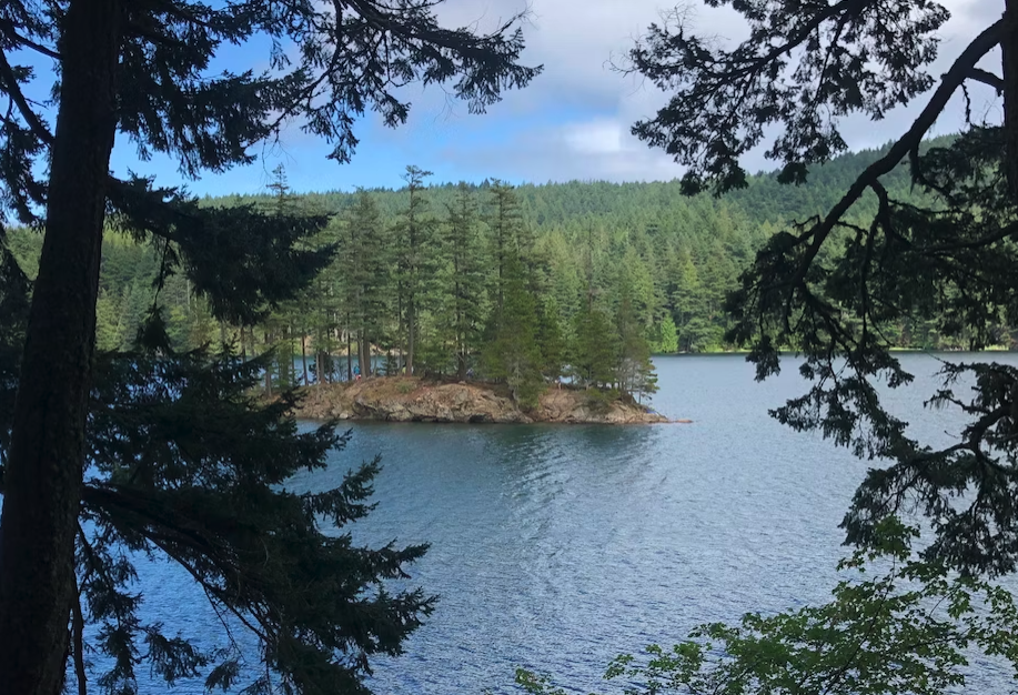 Screen Shot 2023-04-28 at 9.40.42 AM.png