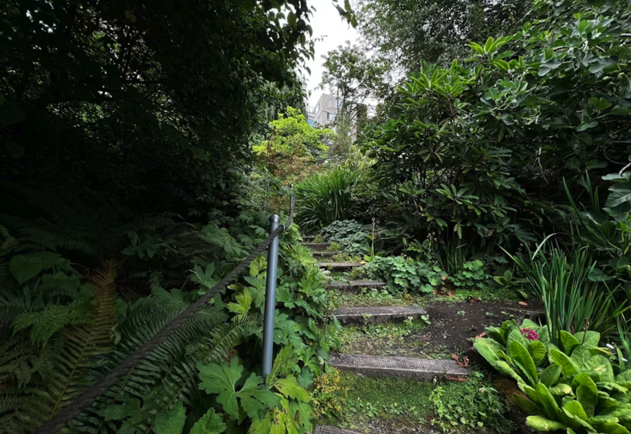 Screenshot 2024-12-10 at 12.06.25 PM.png