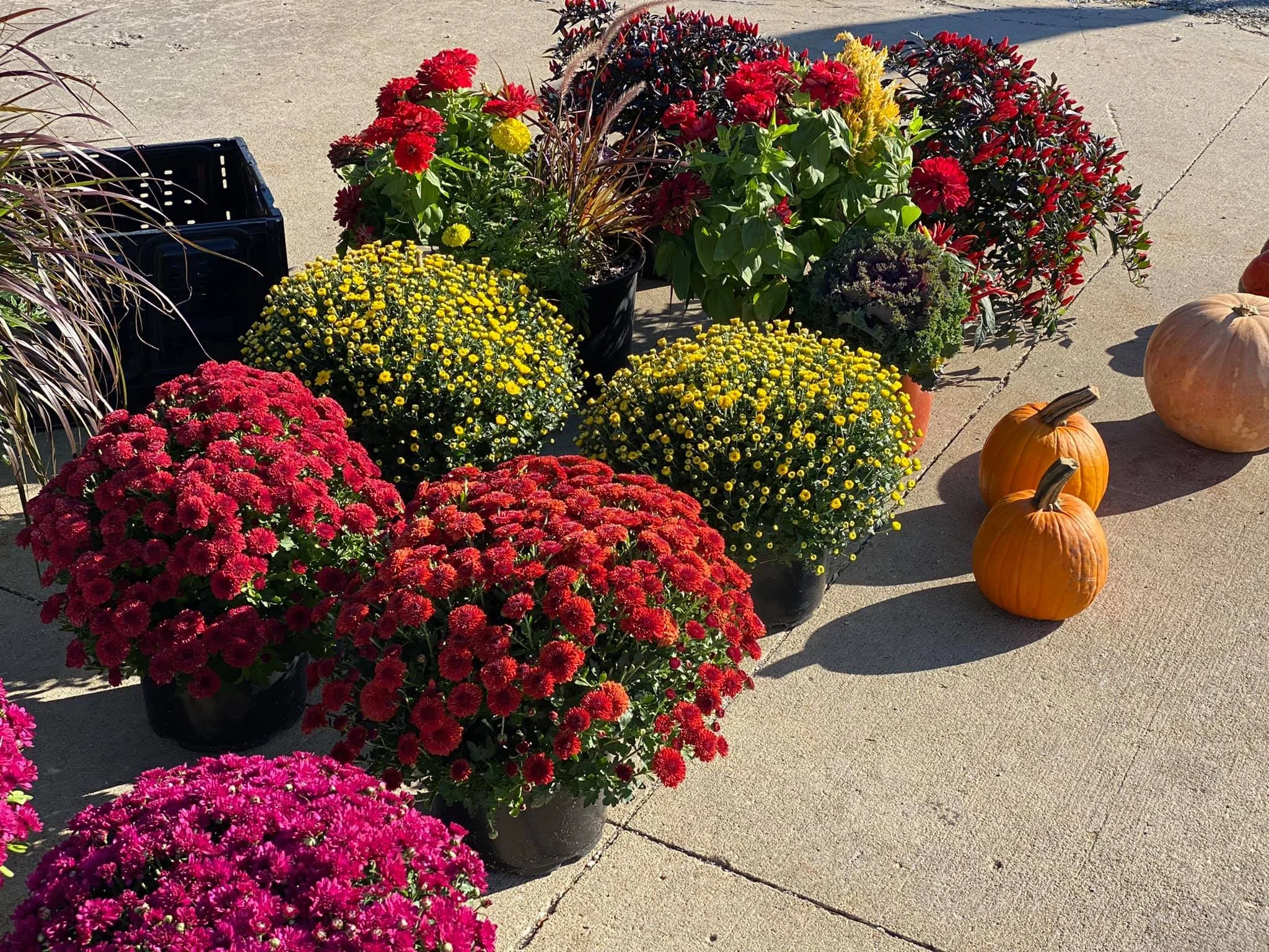 Pleasant Ridge Farms photo 18