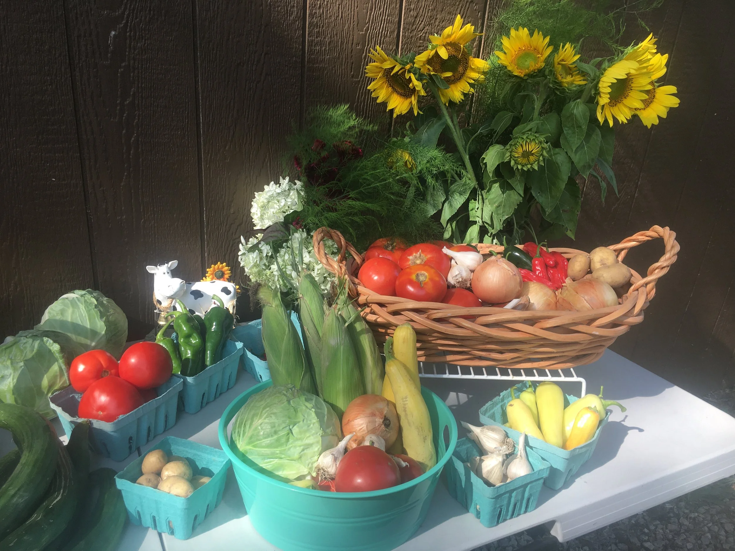 Pleasant Ridge Farms photo 12