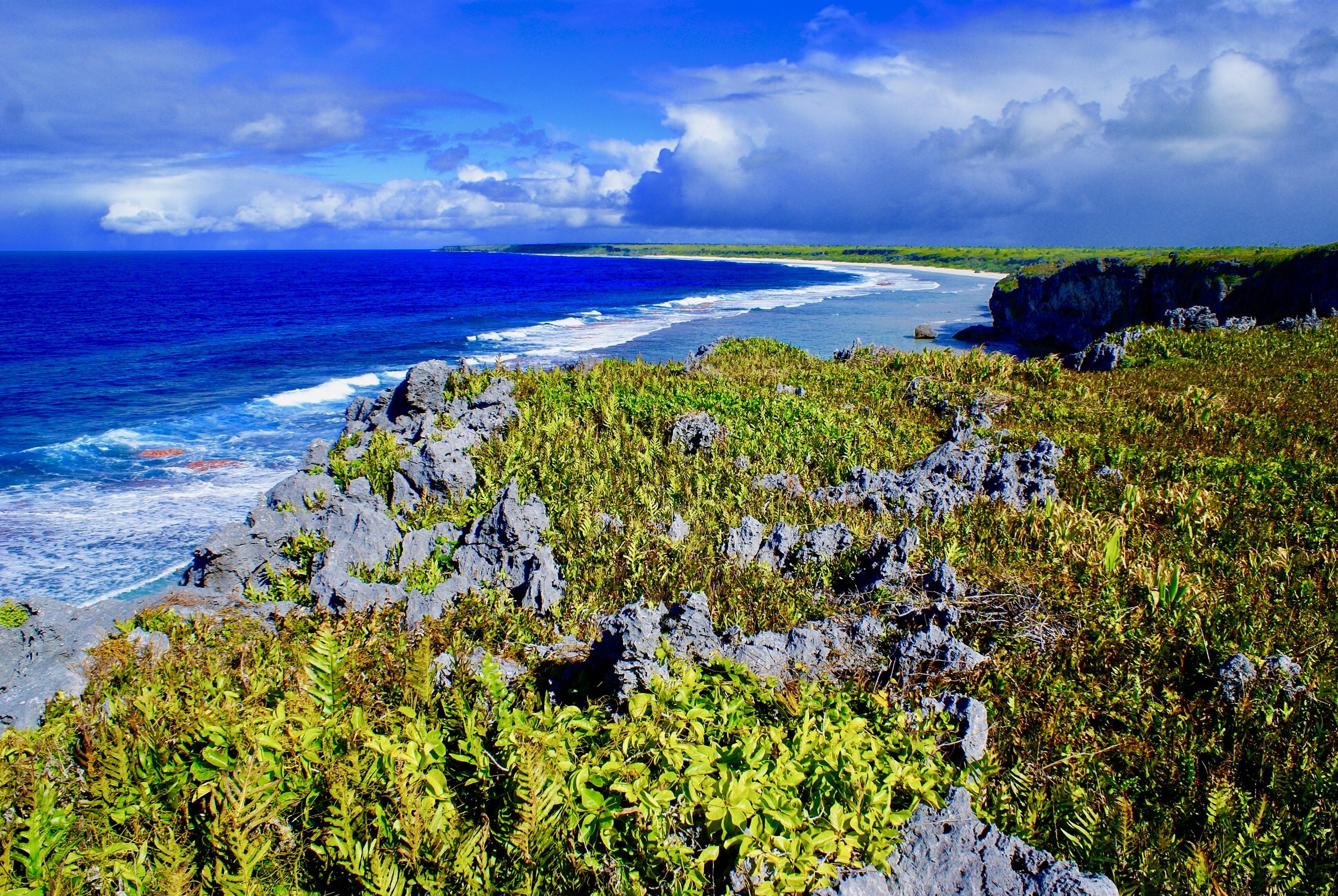 henderson_island_east_beach.jpeg