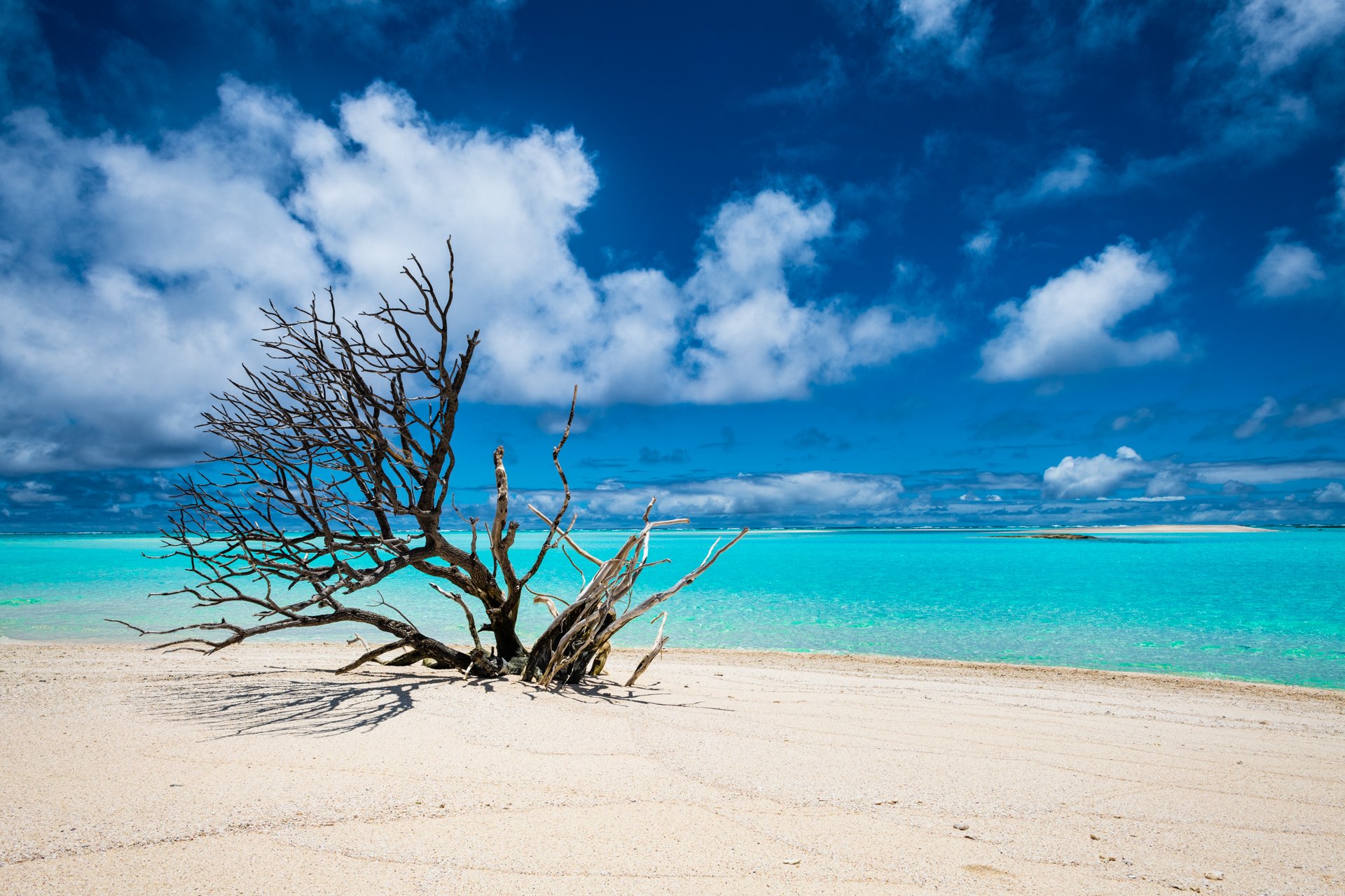The Pitkern Blog — Visit Pitcairn Open To Explore