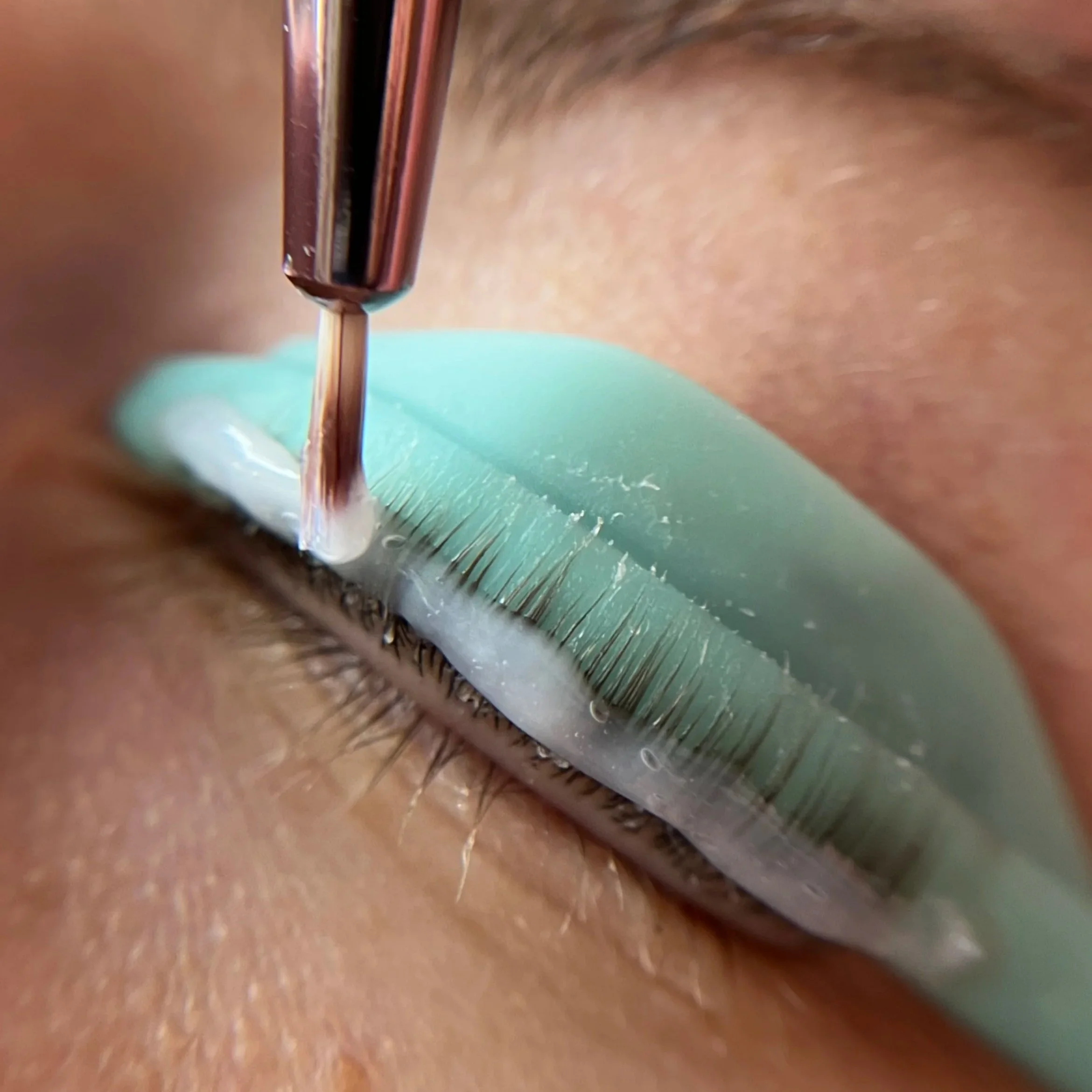 Close-up of lash lift at all that beauty bar
