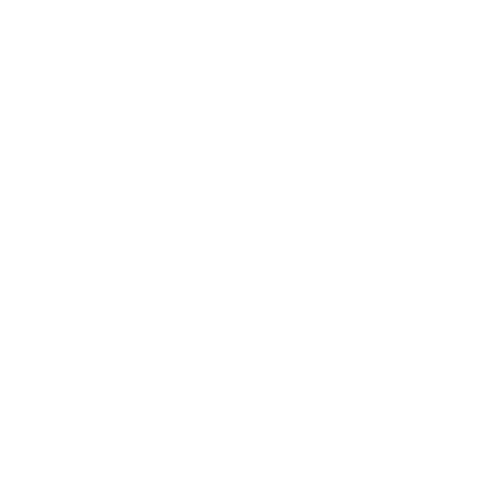 National Supplier Diversity Institute  | Engineering Equity For All ™