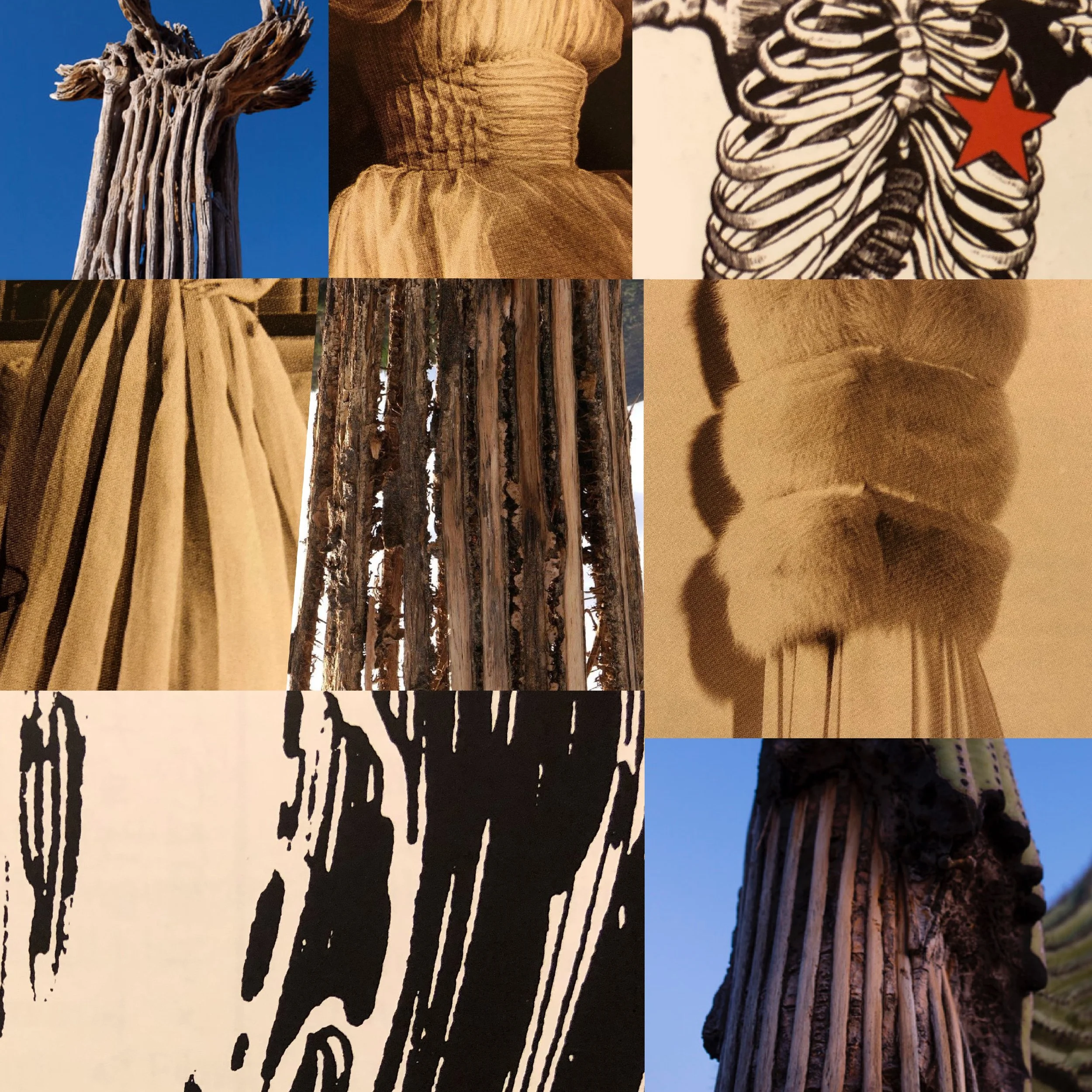 Qactus Quin & other Collections