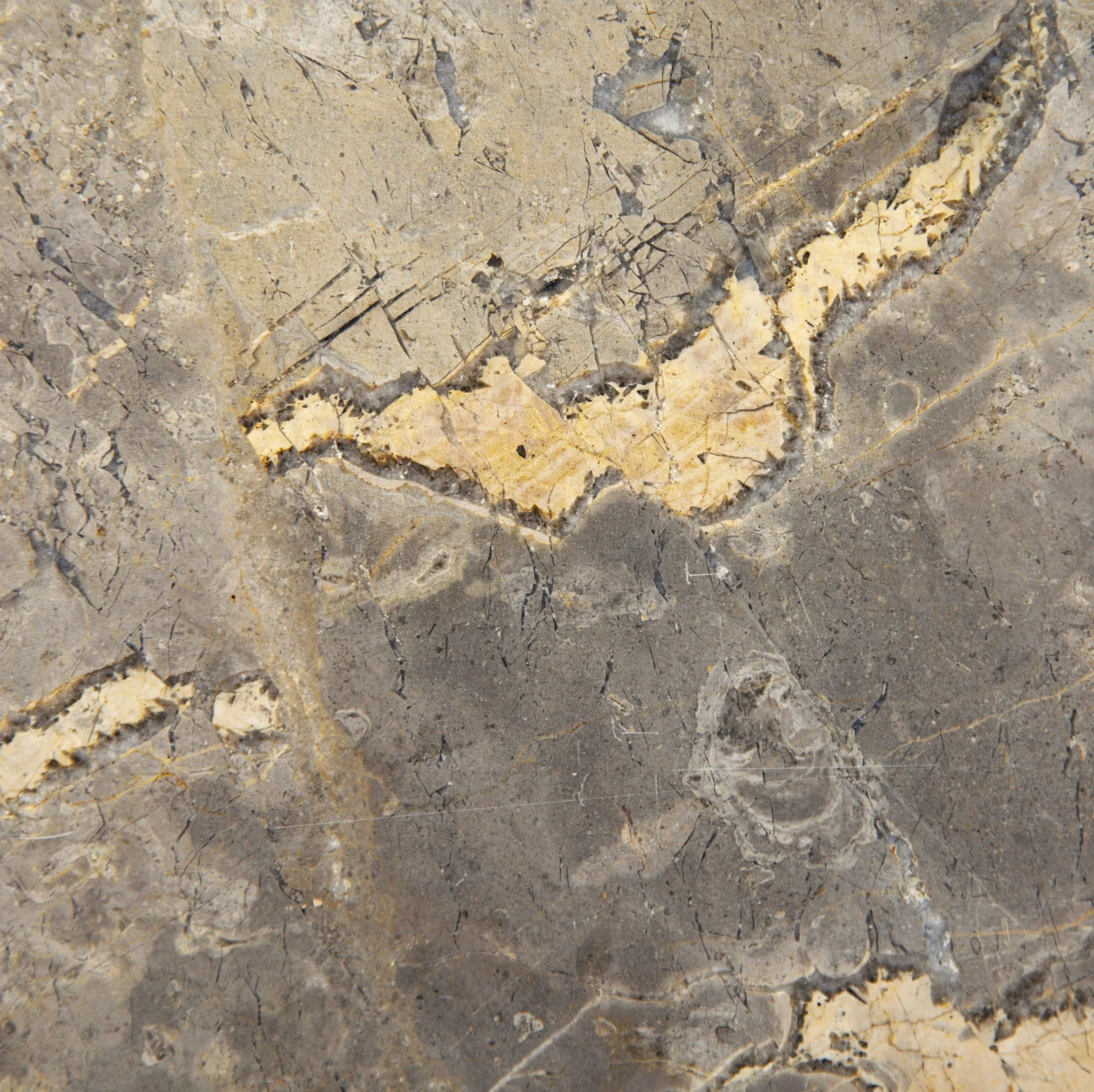 Close-up of a polished red and white marble surface with swirling patterns and veins.