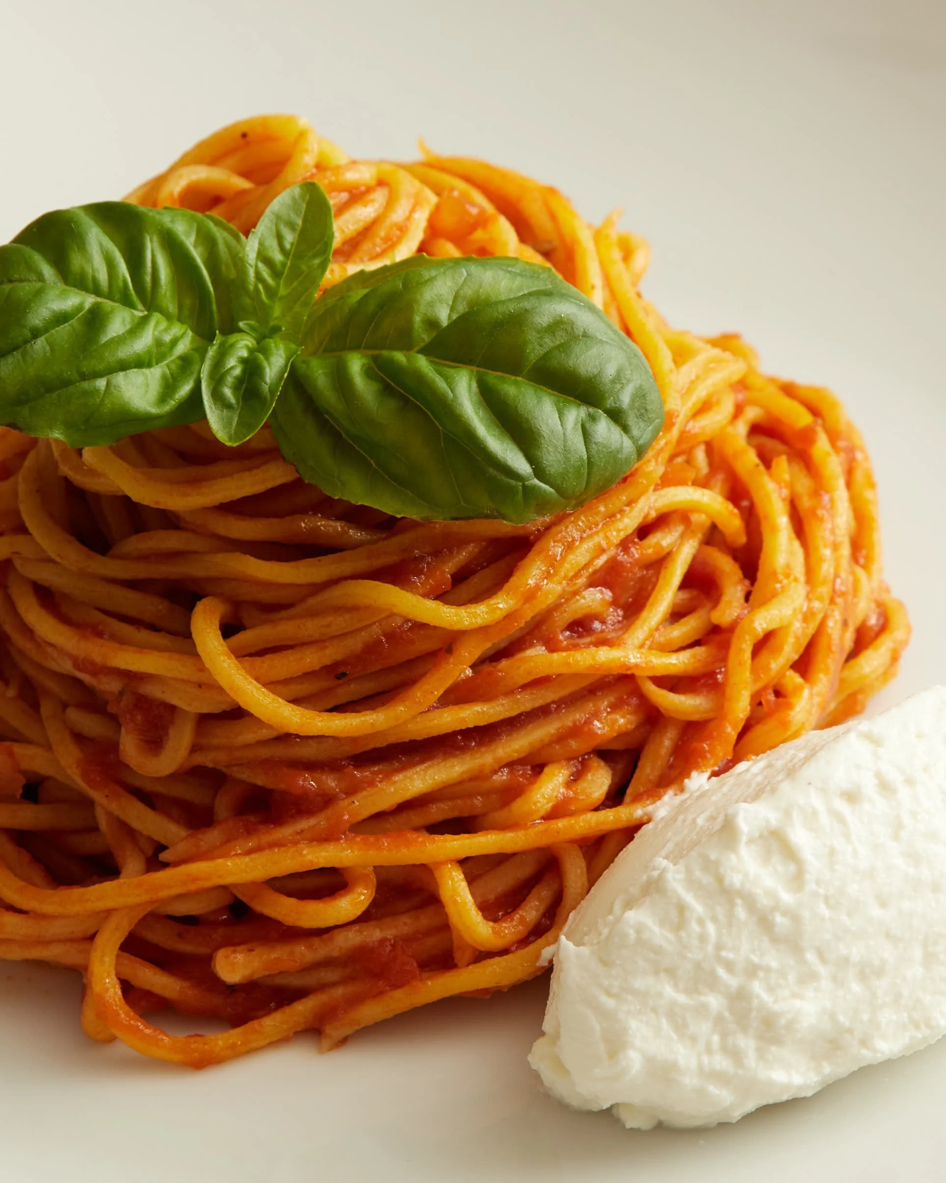 House made spaghetti and whipped ricotta