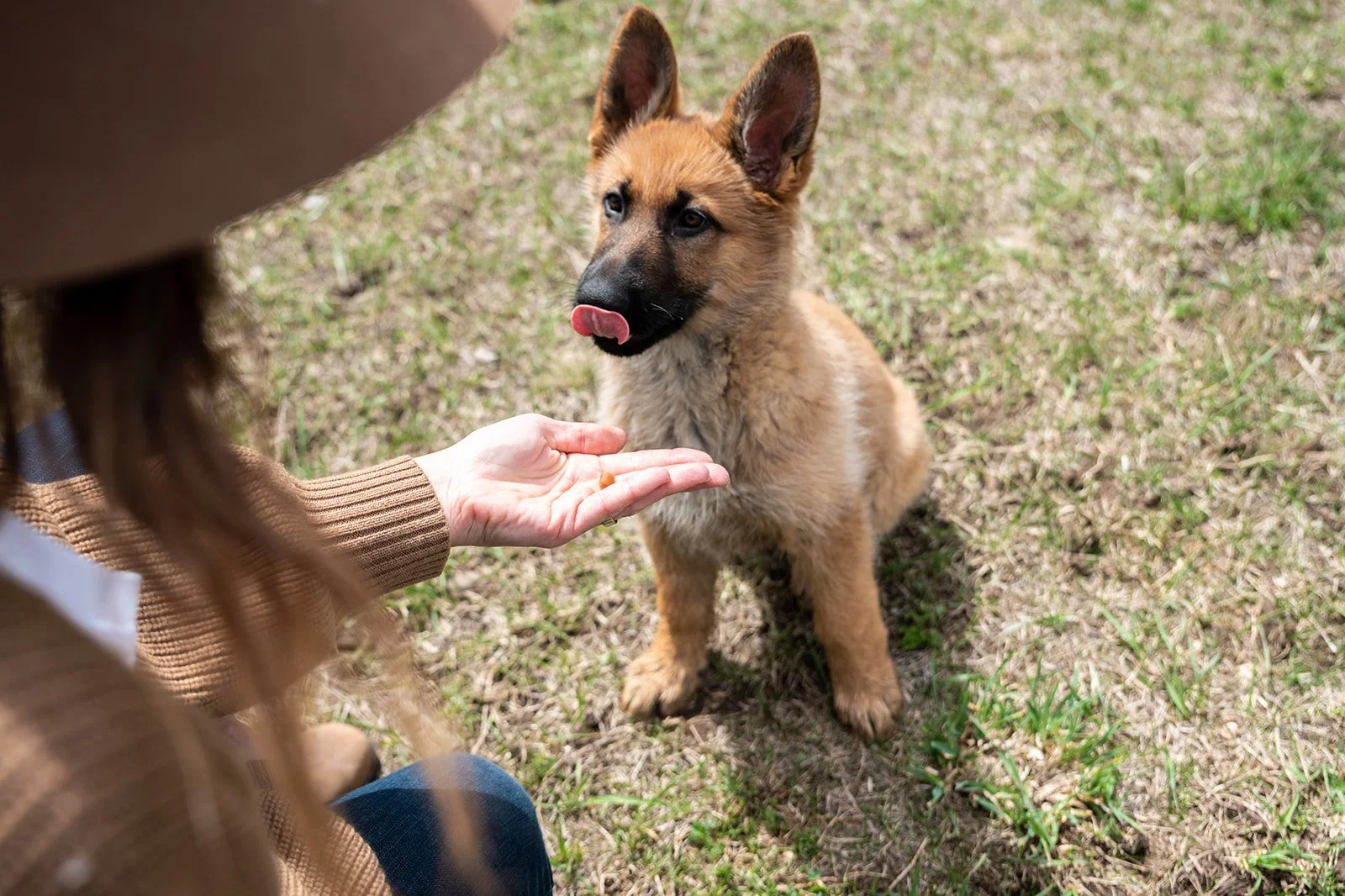 Beginning Behaviours