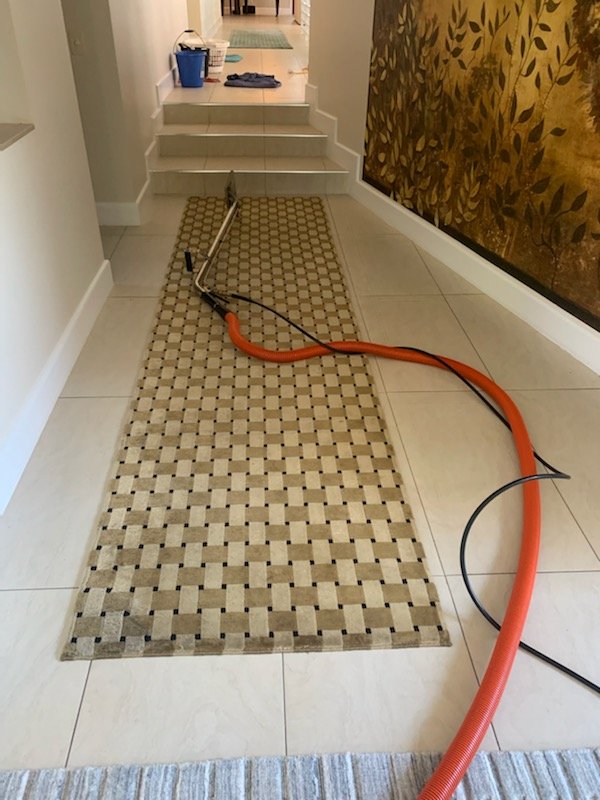 Gold Coast Couch and Carpet Cleaning Specialists