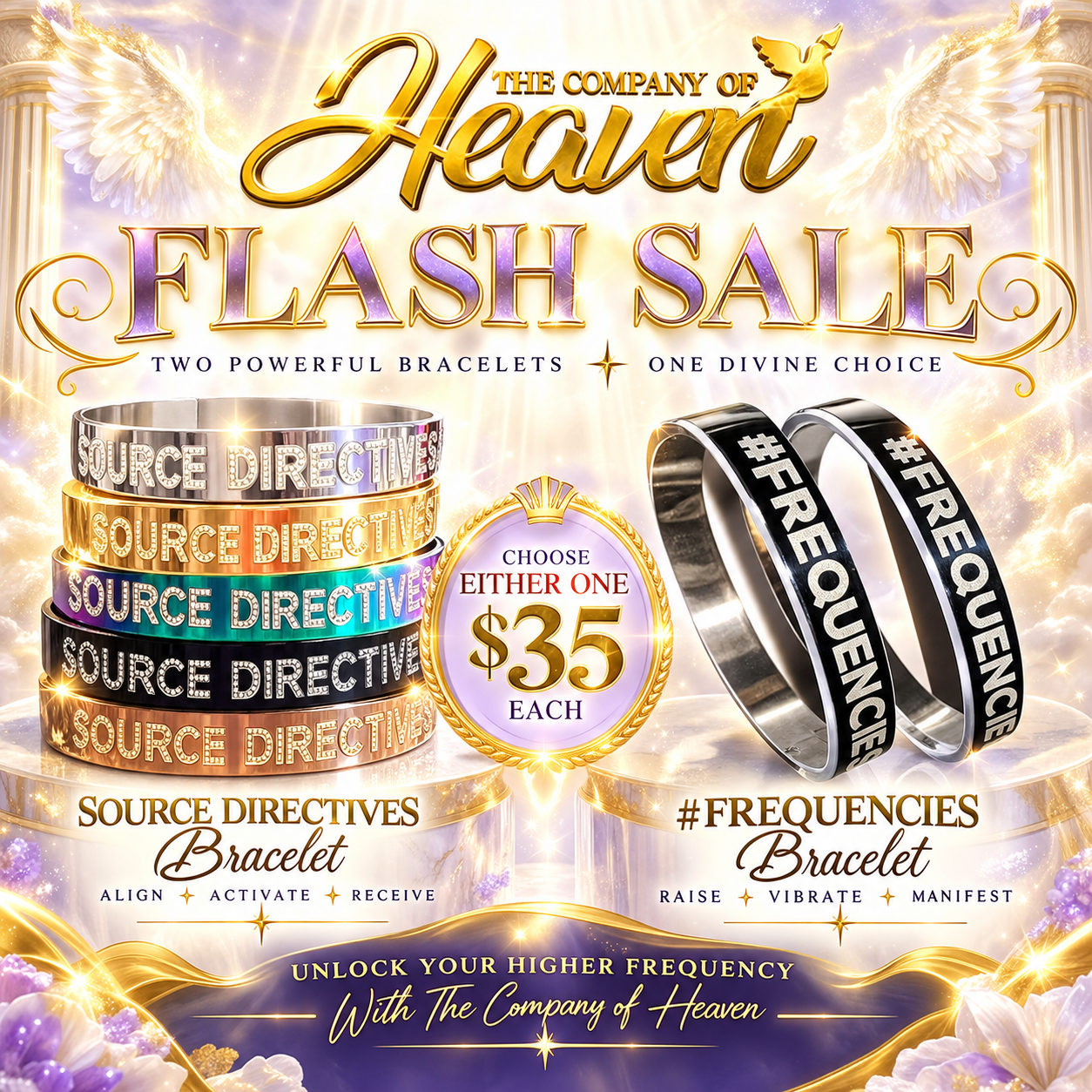 Source Directives  and Frequencies Flash Sale.PNG