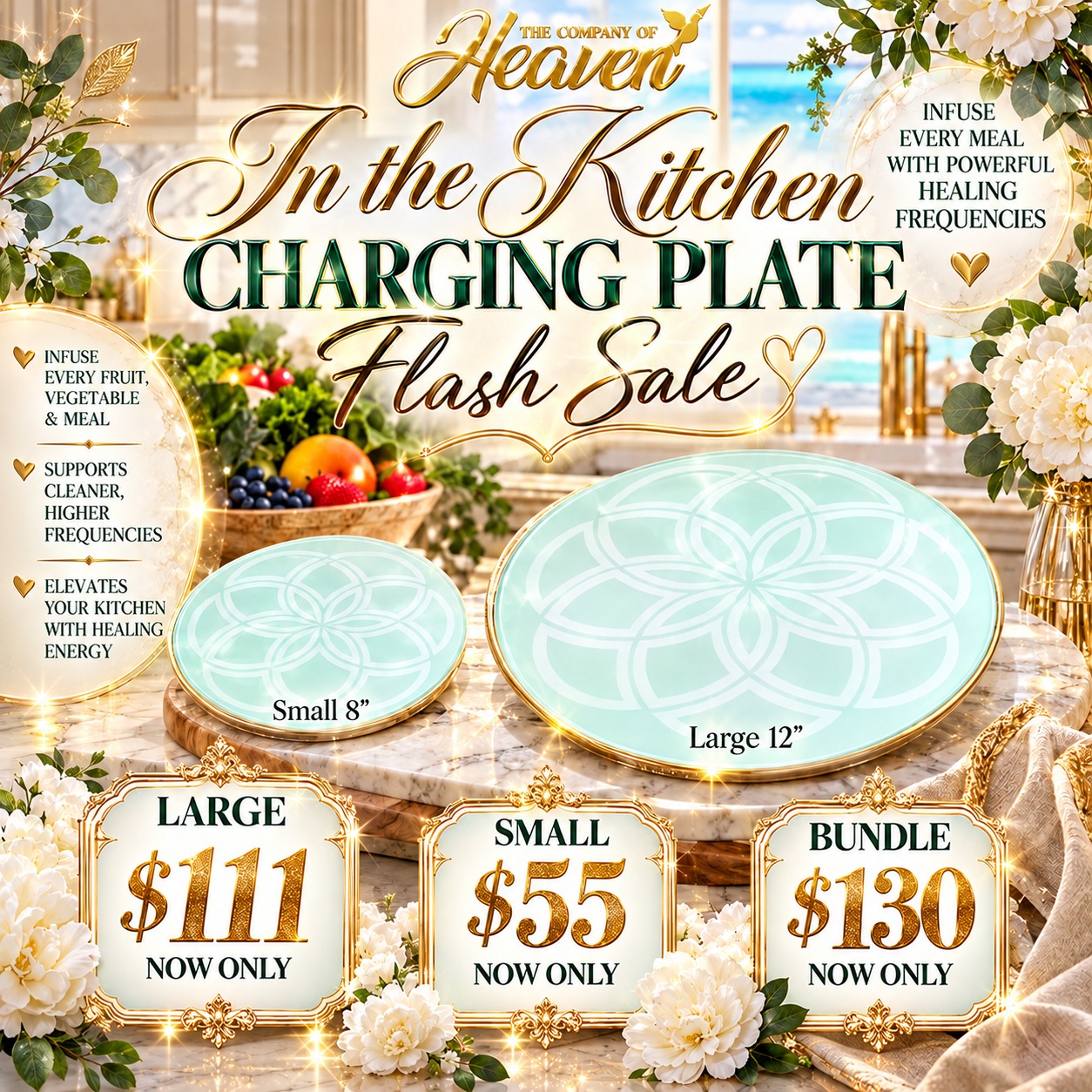 Charging Plate Flash Sale.PNG