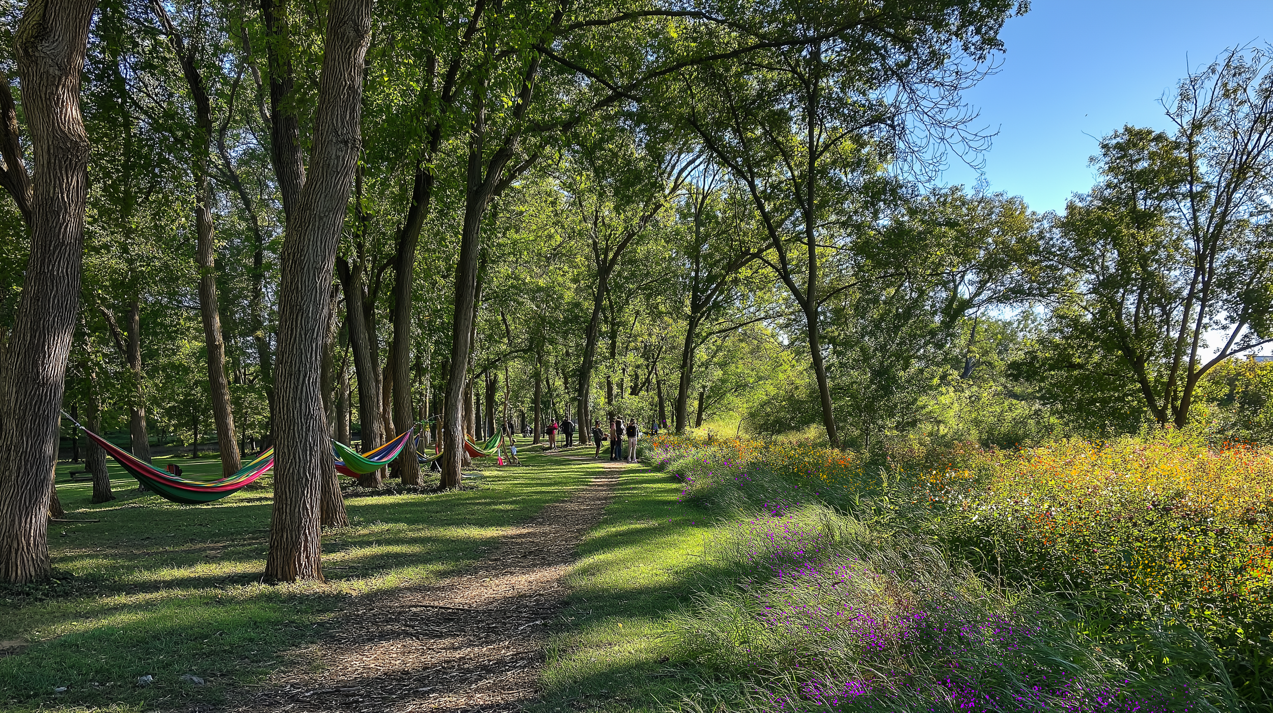 20250822_HammockGrove_V2.png