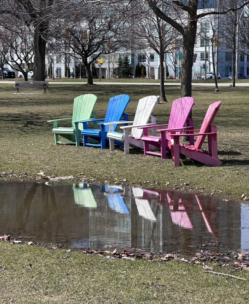 A park scene with five colorful wooden chairs in green, blue, white, pink, and magenta facing a small pond, with leafless trees and residential buildings in the background.