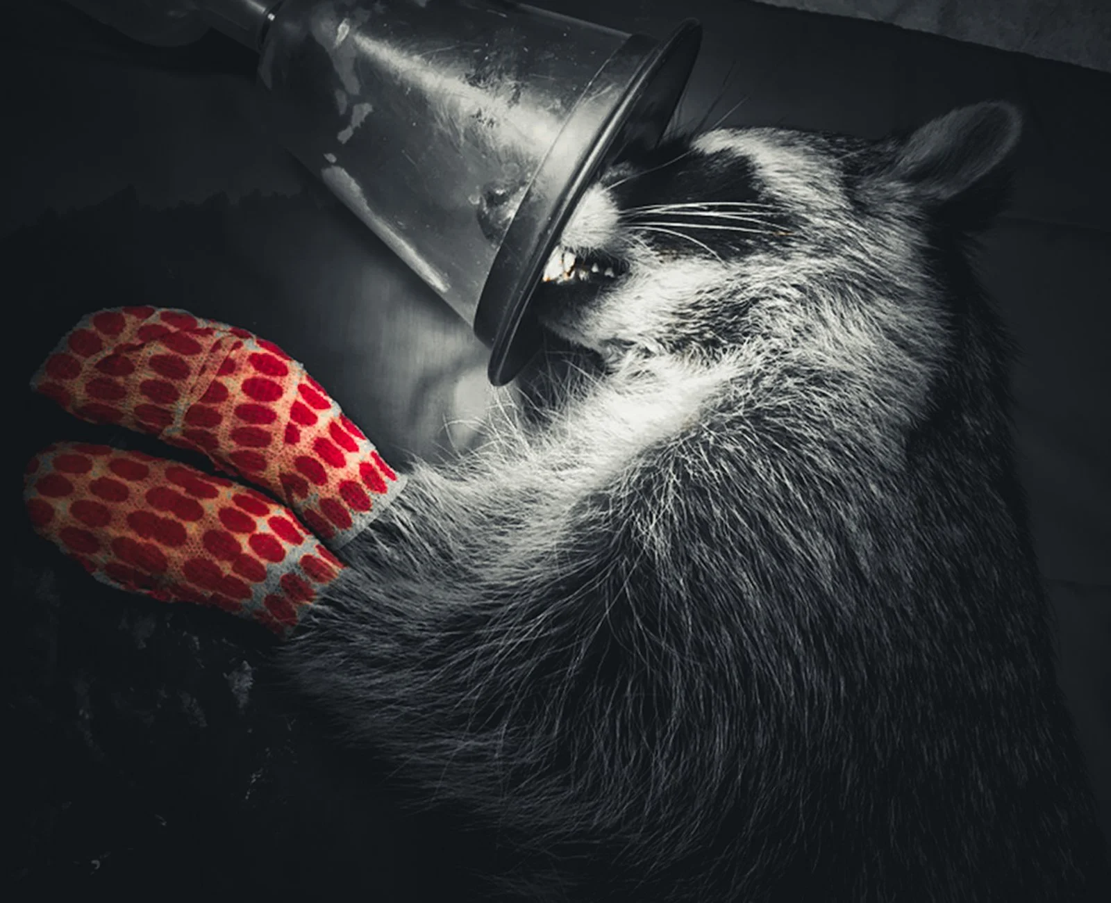 Running for Their Lives: The Wildlife Victims of Wildfire