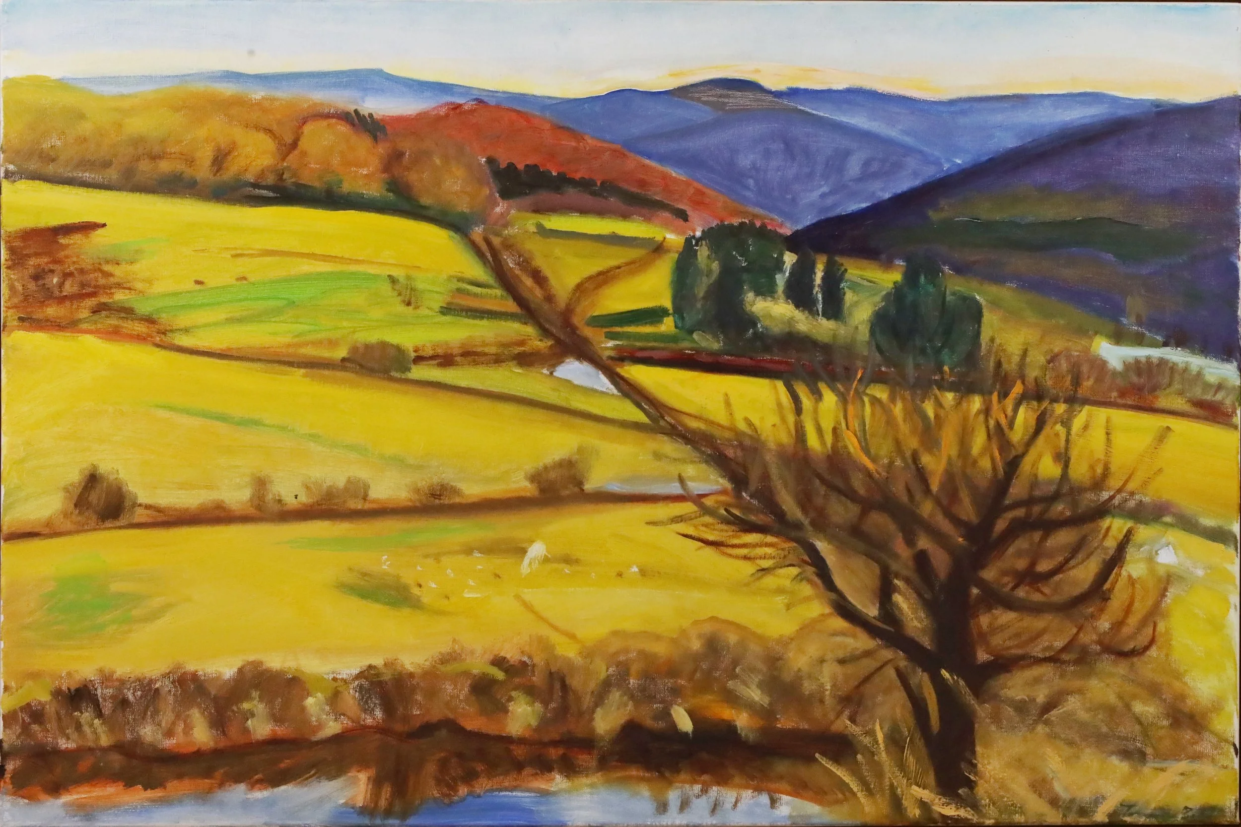 "Delhi Landscape", Oil on Canvas, 24" x 36", 2013