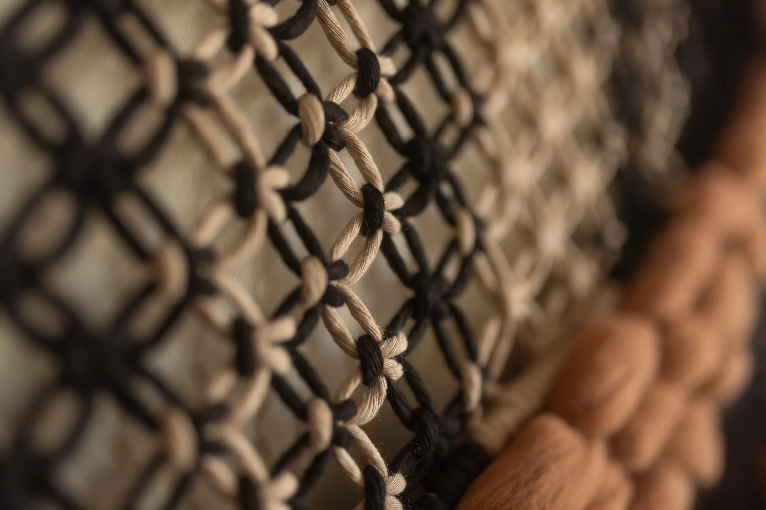 Barnicals-17.JPG