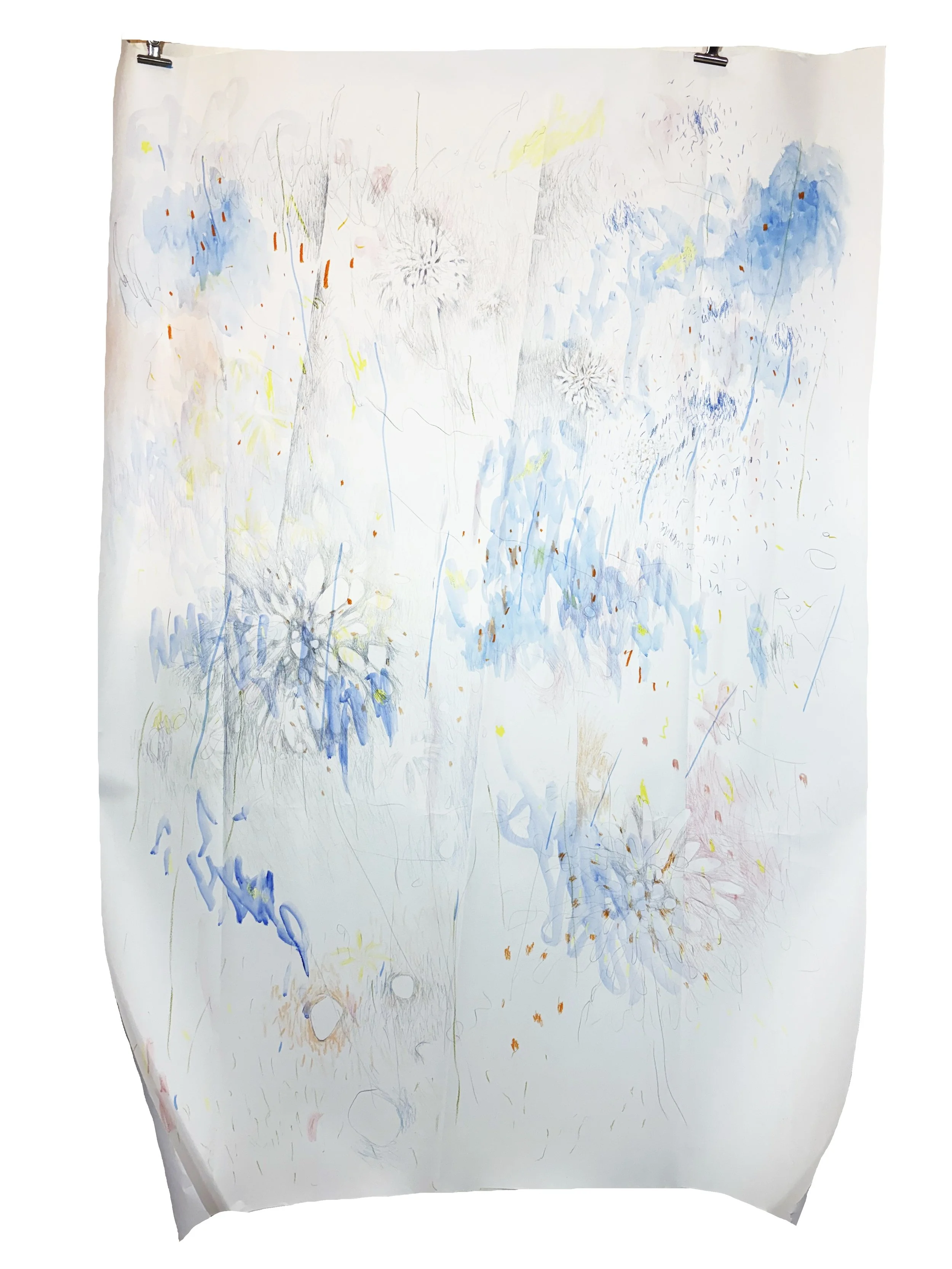 Wild, 2024
mixed media on paper
48” x 69”
