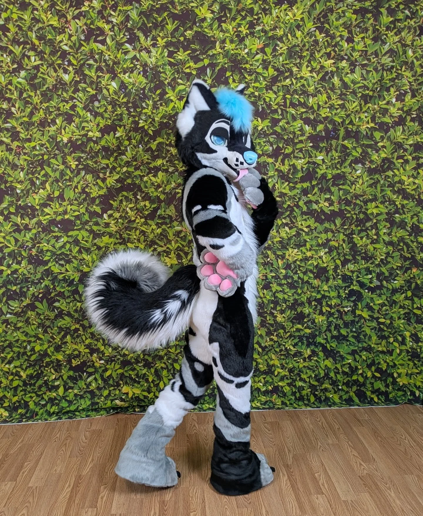 Some more looks at this bodysuit, hands, feet and tail we made to go with this clients Glitzyfox Head! We also worked closely with this client to make a custom design that met all of their hopes for this character and we are very proud of the result!