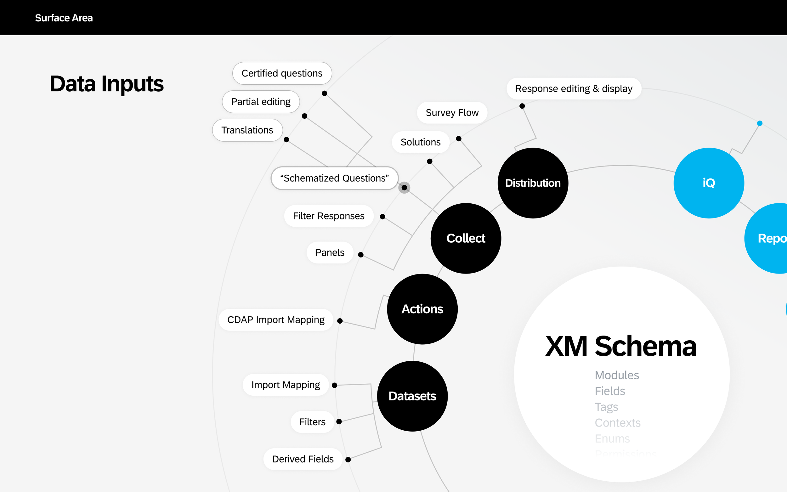 Presentation slide: an illustration showing many inputs into the qualtrics data schematization system.  These inputs are shown as a branching tree diagram, and contain features and teams.