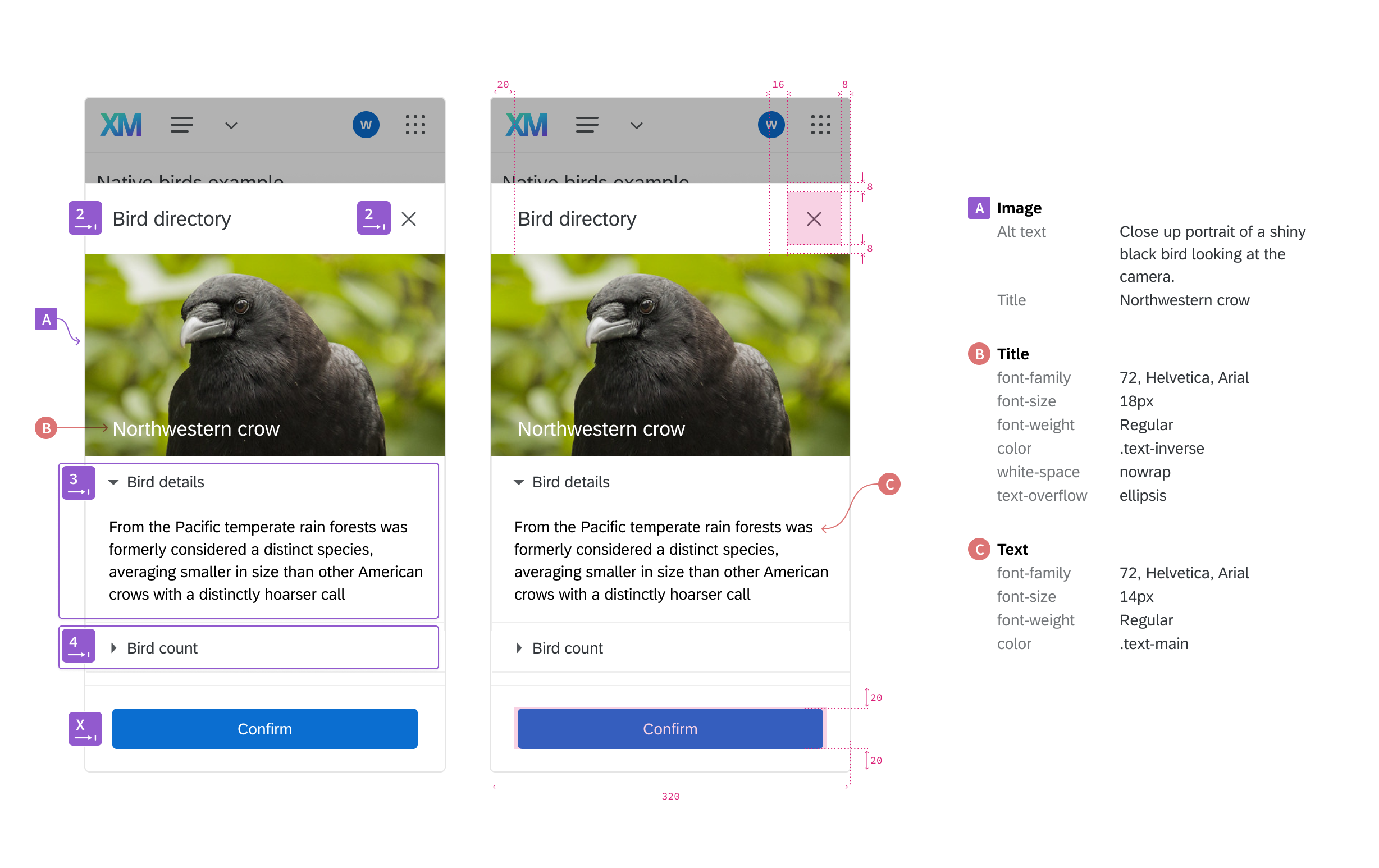 An image of a made-up qualtrics interface with annotations on it, and detailed specifications off to the side.  The specifications document alt text for a large image of a Northwestern Crow, and documentation on visual styling of text.