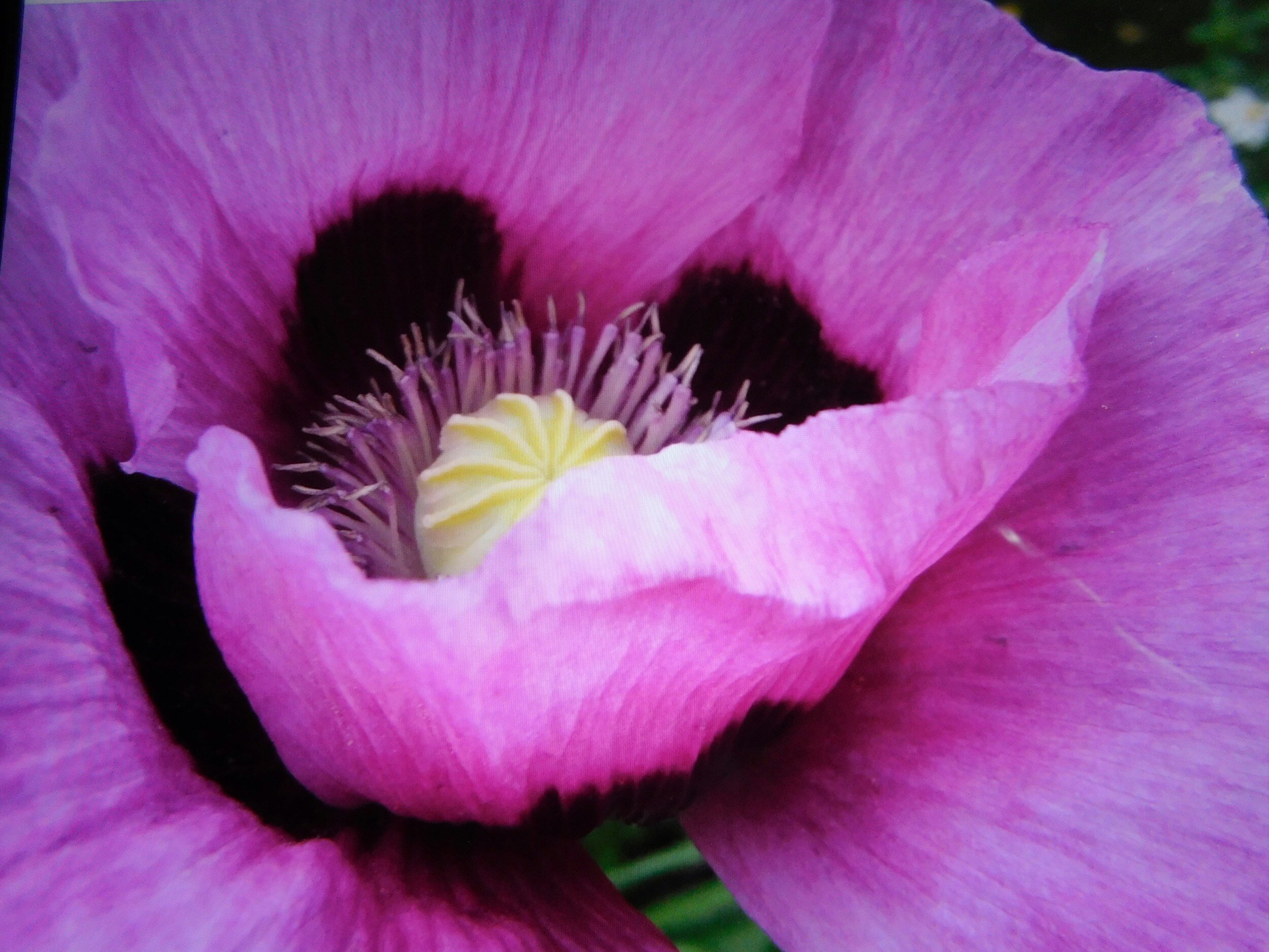 The sex your body is longing for…