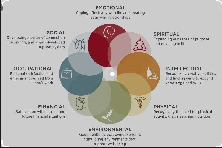 A Young Adult Mini Series: Embracing the 8 Dimension of Wellness in Chaos