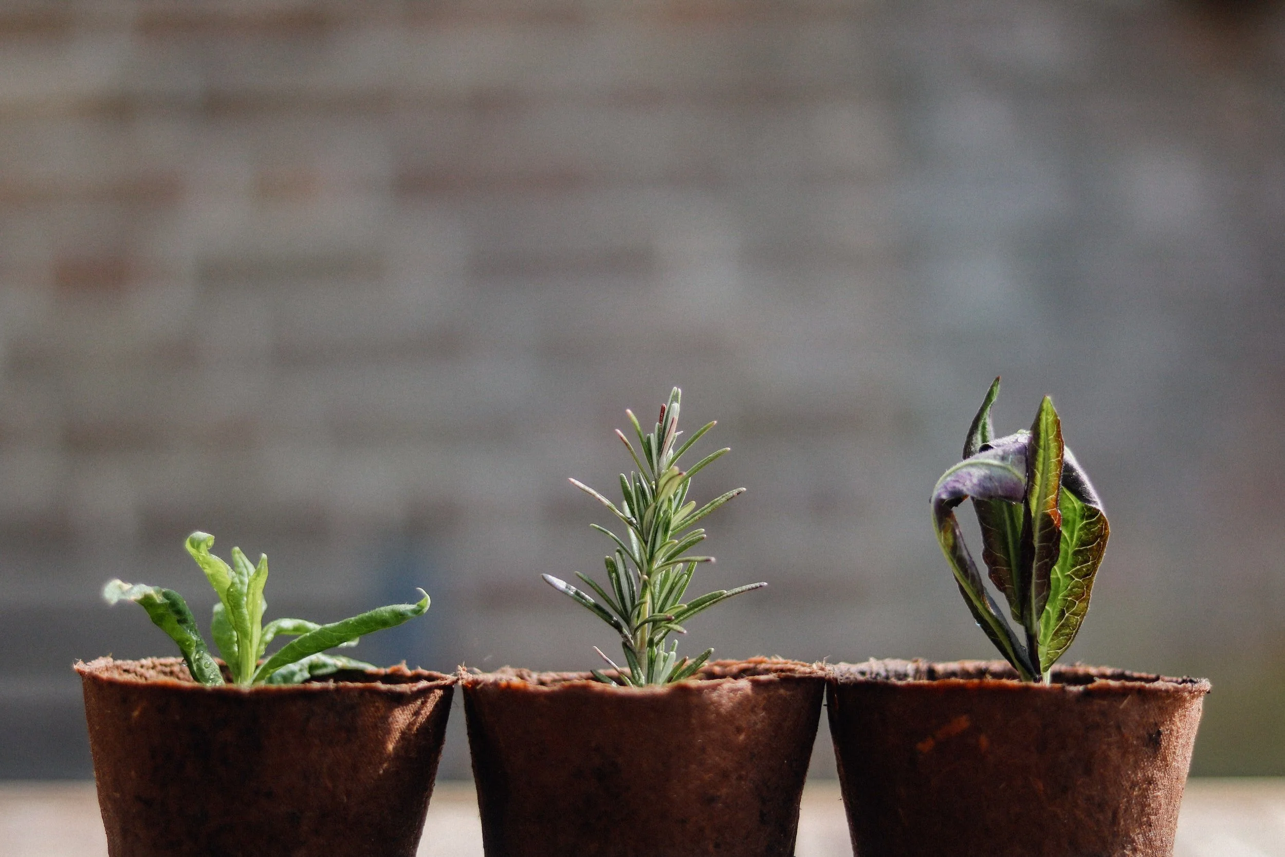 Personal Growth: "Unlocking the Secrets of Self-Improvement"