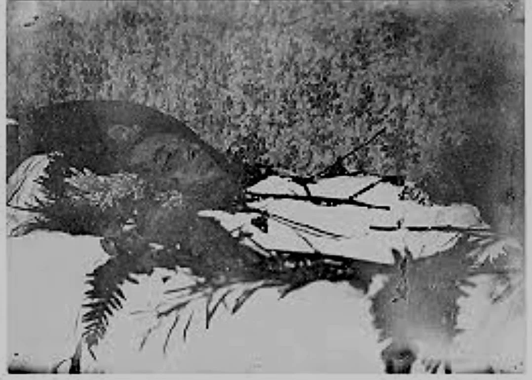 WhatsApp Image 2024-01-09 at 19.50.33.jpeg