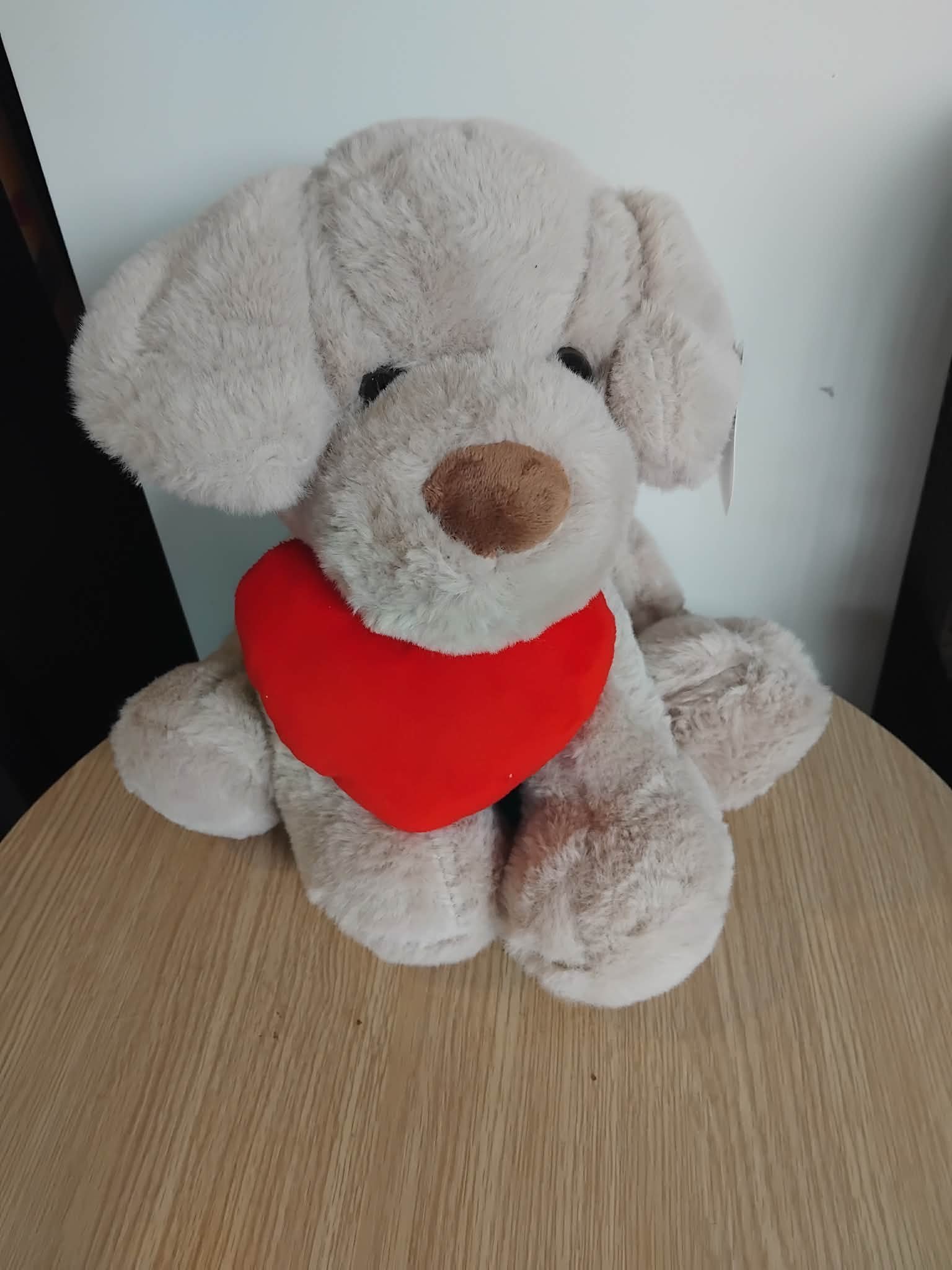 Valentines Day Puppy