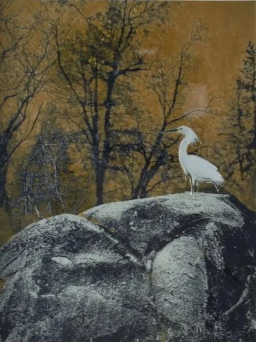 "The Medicine Rock" by Lori Lachman, Lachman.smugmug.com . Multi-medium photo, paint, collage 11x14". 
___________________________________________
The medicine rock is an important tool for Nisenan healers. We have used the white Egret to symbolicall